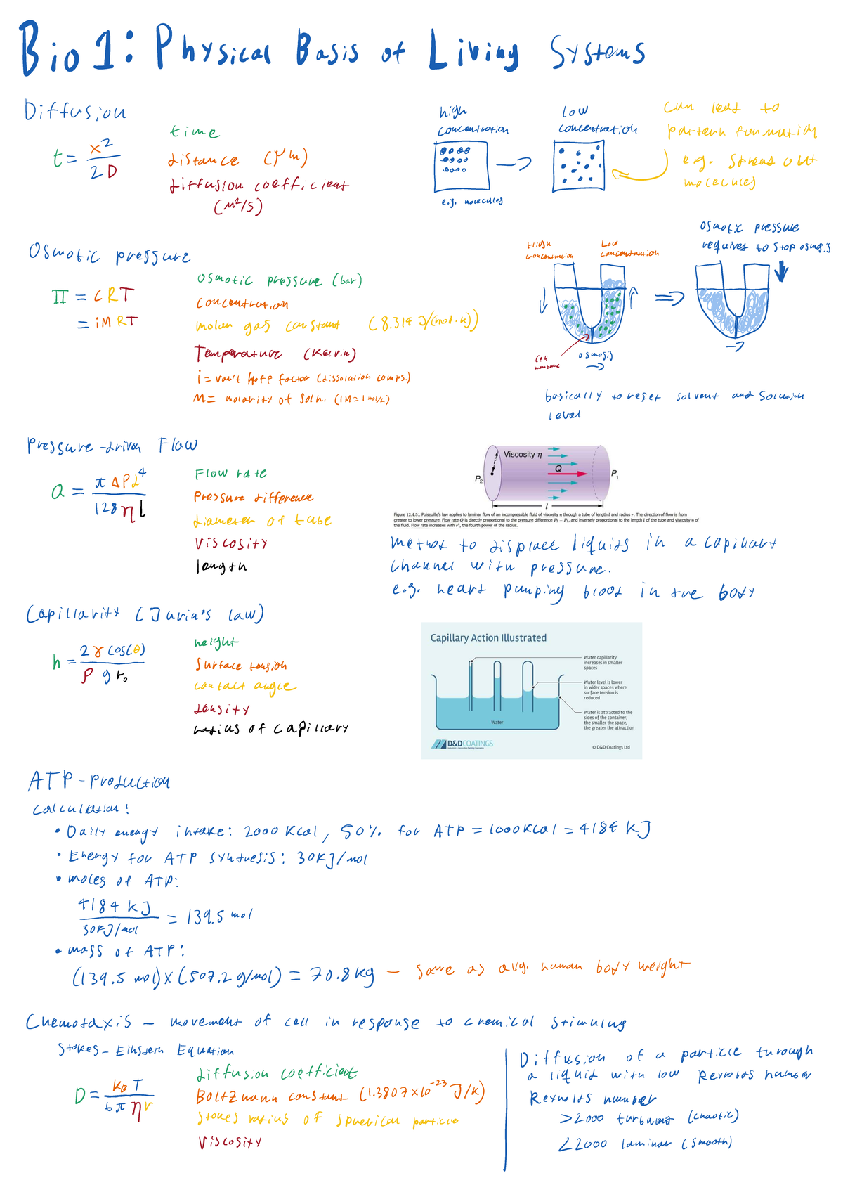 Bio 1: Physical Basis of Living Systems - Diffusion and Osmosis ...