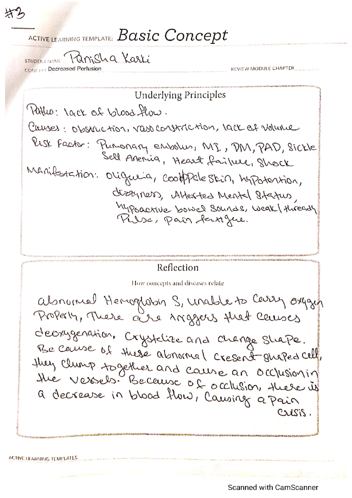 Basic Concept process 3 - ACTIVE LEARNING TEMPLATE: Basic Concept ...