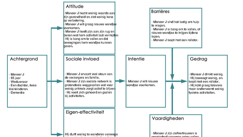 ASE-model: Ondersteuning voor Meneer J's Gezondheid en Mobiliteit ...