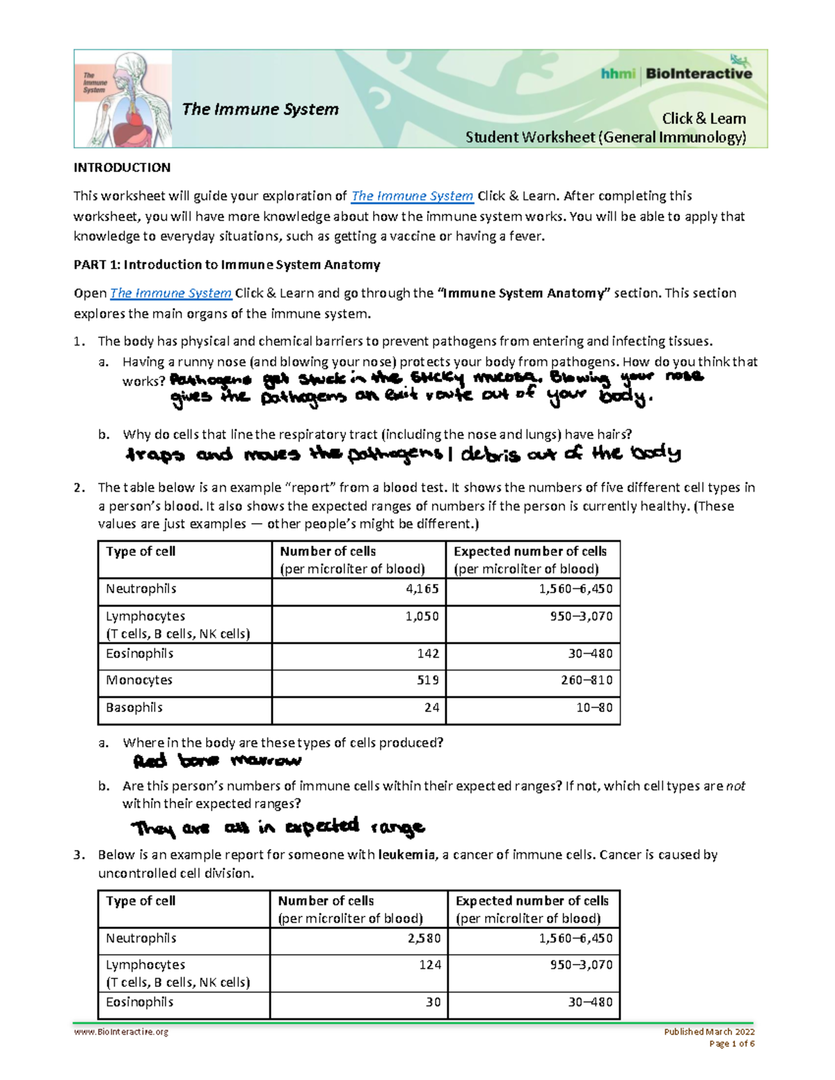 Immune system worksheet BioInteractive Published March 2022 INTRODUCTION This worksheet will
