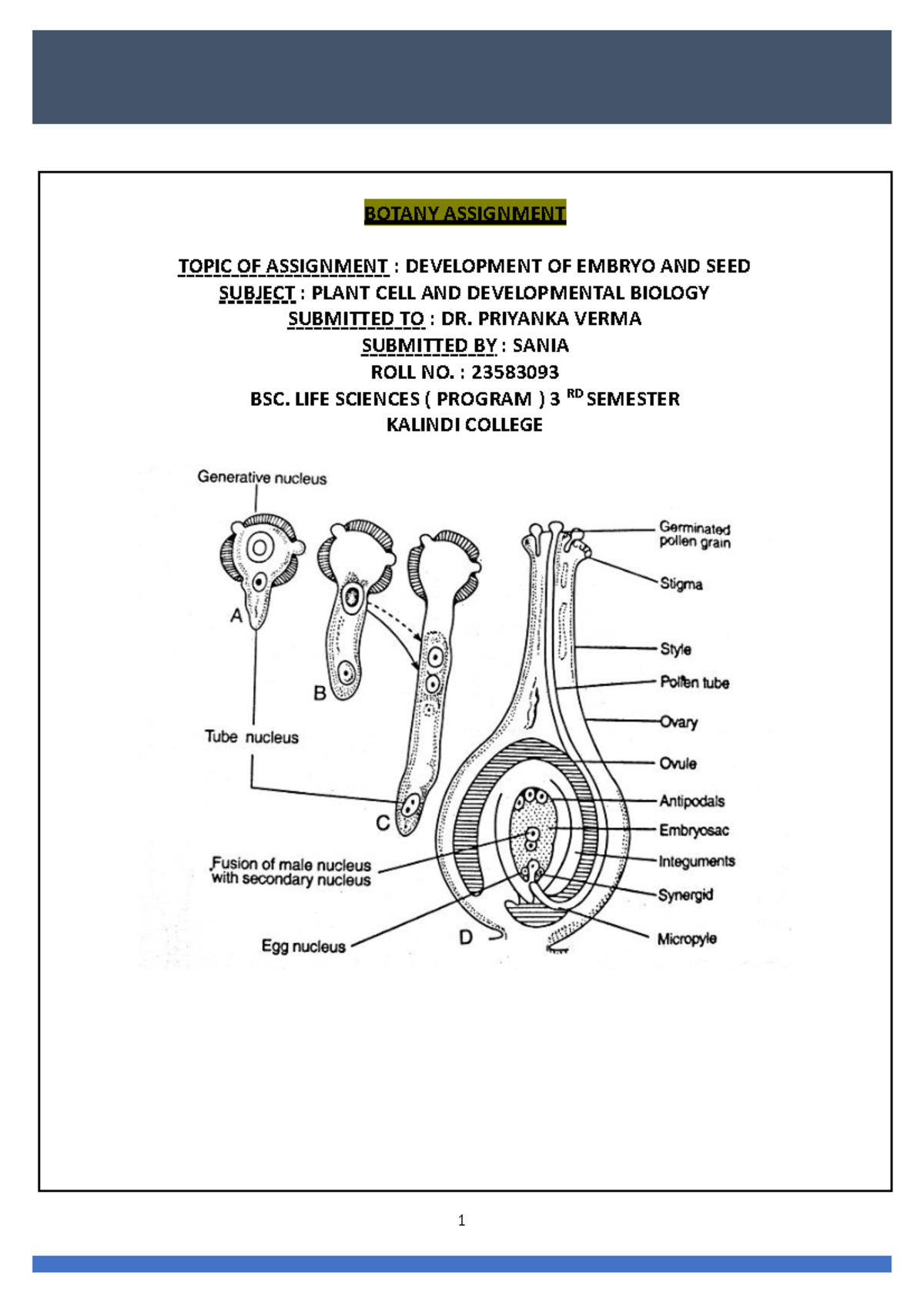 Botany UNIT 7 - BOTANY ASSIGNMENT TOPIC OF ASSIGNMENT : DEVELOPMENT OF ...