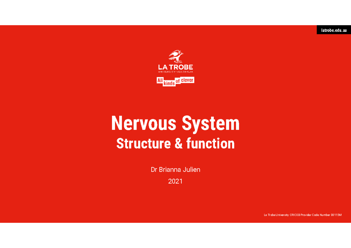 Nervous System: Structure & Function Lecture Notes - Studocu