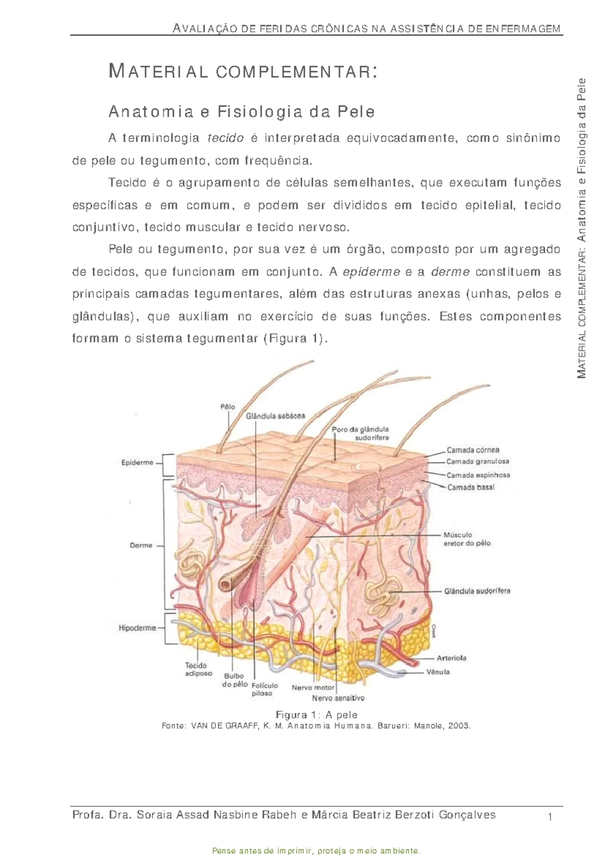 Atividade Mapa De Anatomia Humana Terapia Ocupacional Anatomia