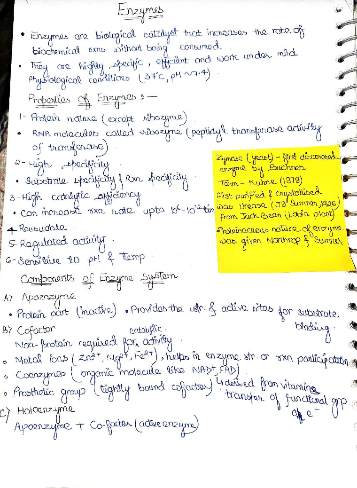 Notes on Enzymes (BIO 101) - Properties, Mechanisms, and Classification ...