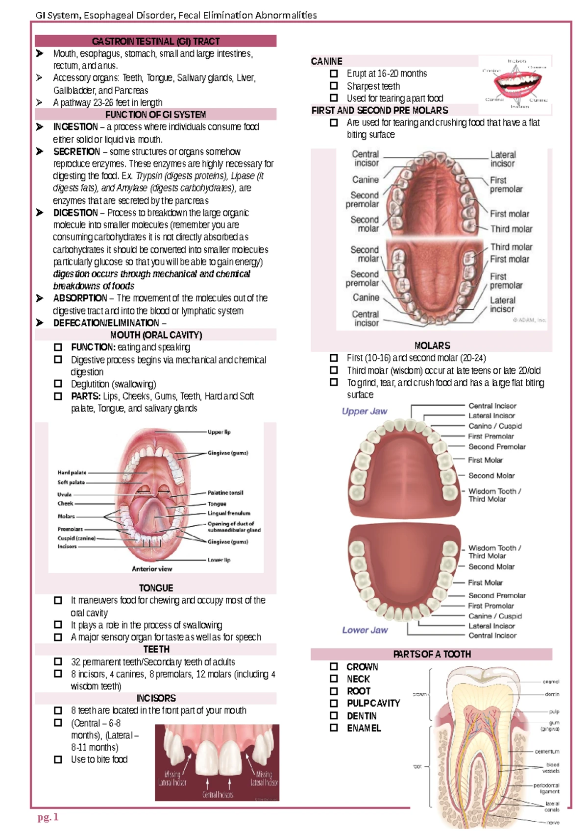 NCM 122: Intensive Nursing Practicum Activity 2 - FDAR Charting ...