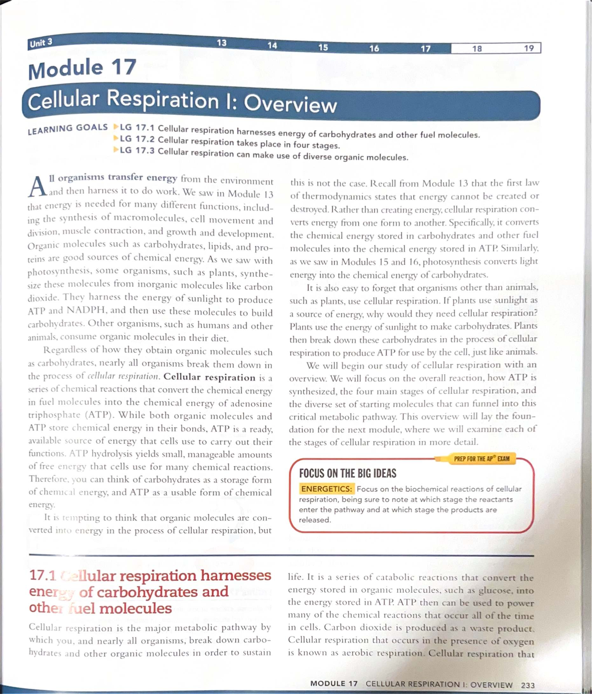 Final Exam Study Guide for Course Code XX123: Cellular Respiration ...