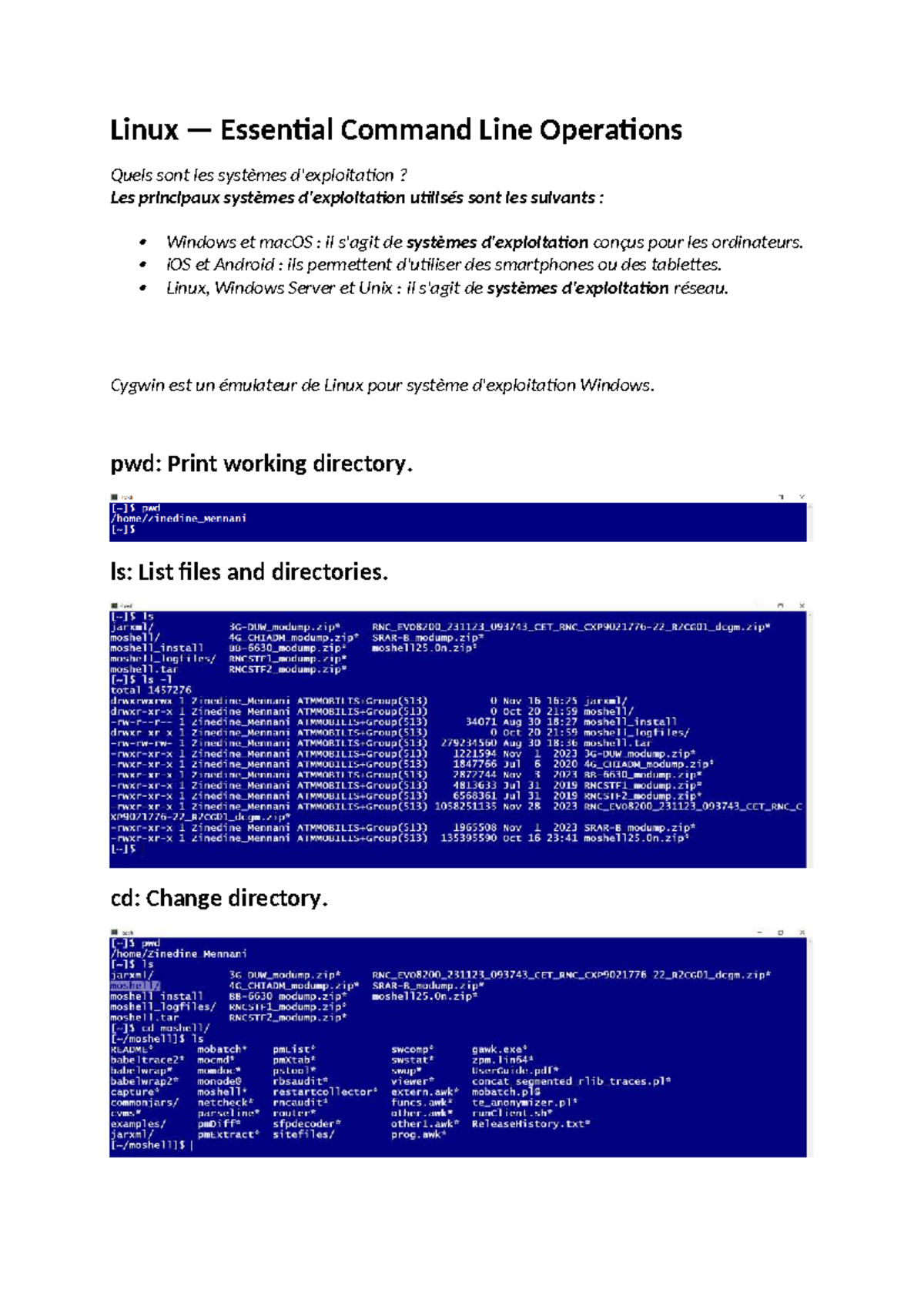 Linux (CS101) — Essential Command Line Operations Guide - Studocu