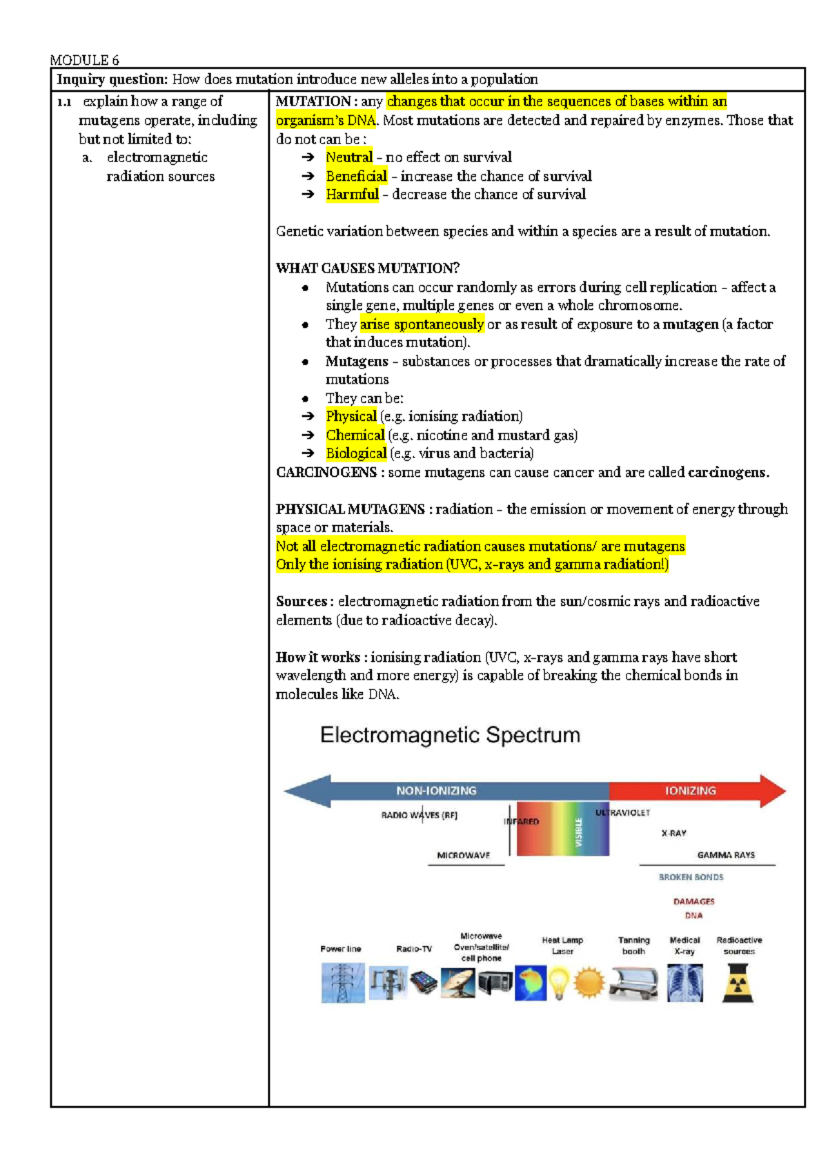 Module 6: Understanding Mutation and Its Role in Genetic Variation ...