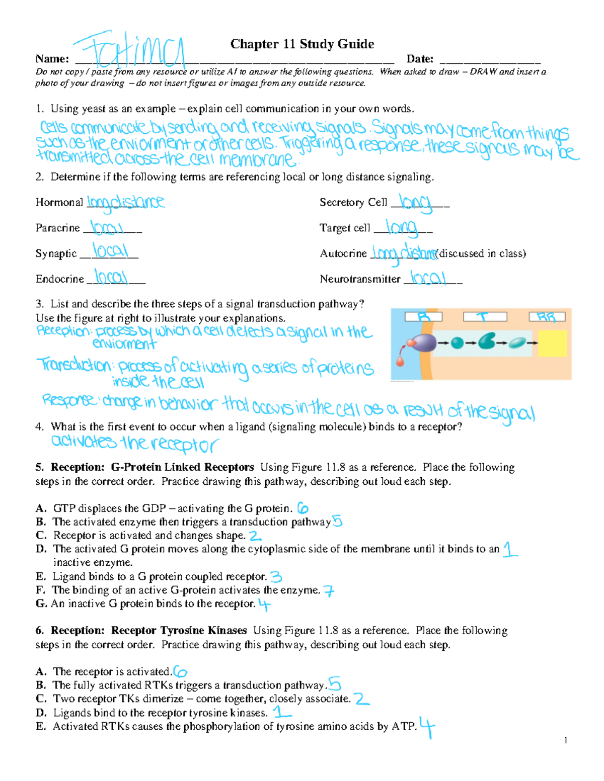 Chapter 11 Study Guide F23 - 1 Chapter 11 Study Guide Name: - Studocu