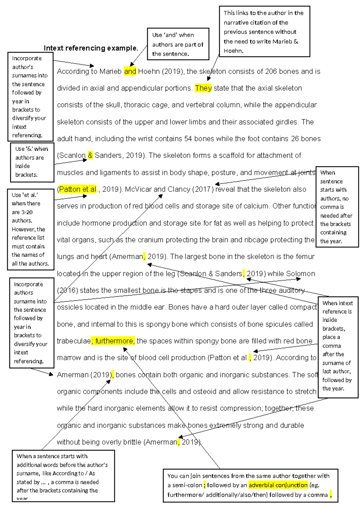 Intext referencing example The Skeleton annotated v2(1) - Intext ...