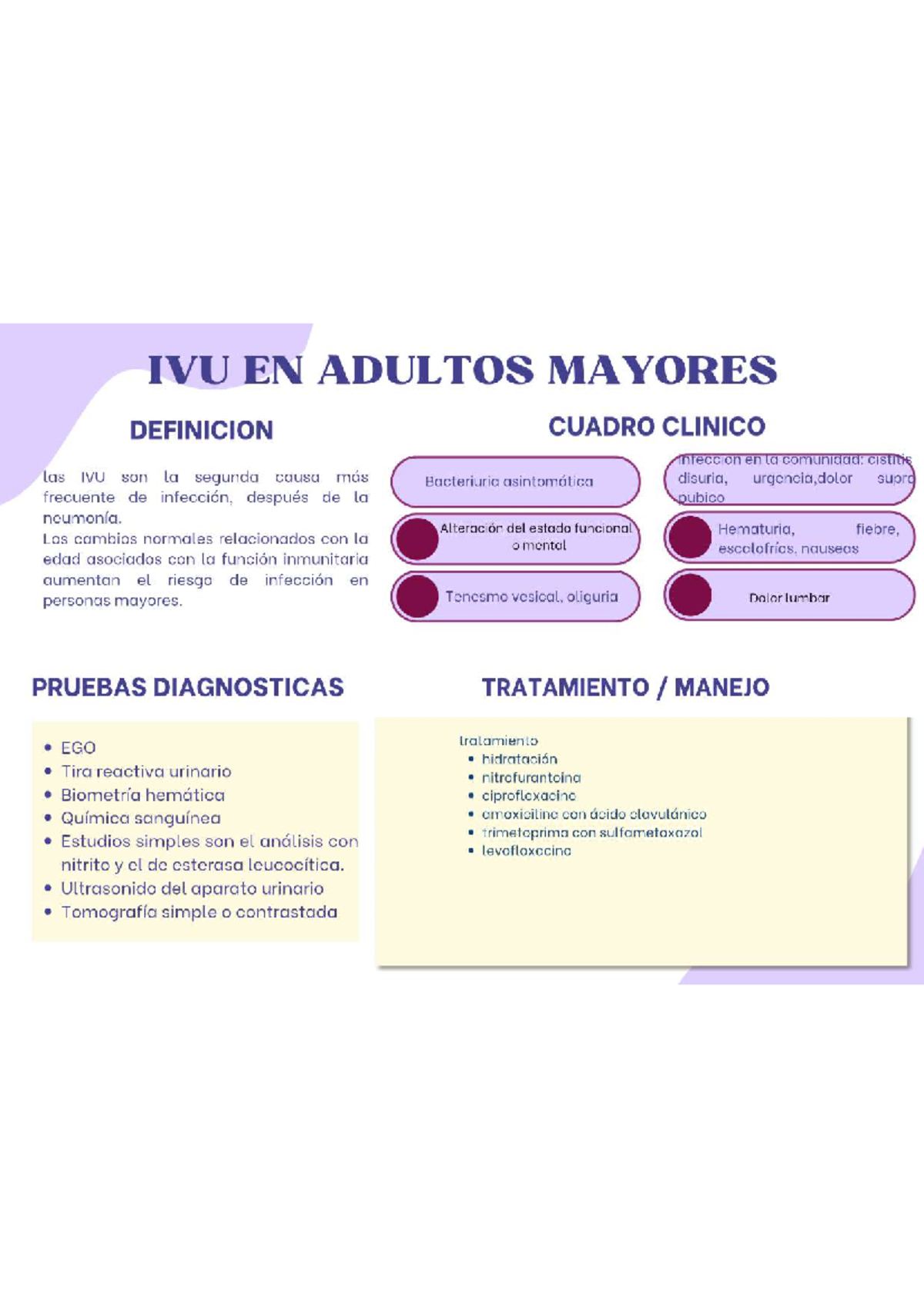 IVU en Adultos Mayores: Definición y Cuadro Clínico - Studocu