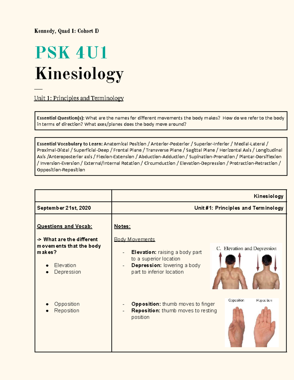PSK 4U1 Kinesiology Unit 1: Body Movements & Terminology Notes - Studocu