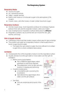 Musculoskeletal System Overview and Key Concepts - Module 8 Notes - Studocu