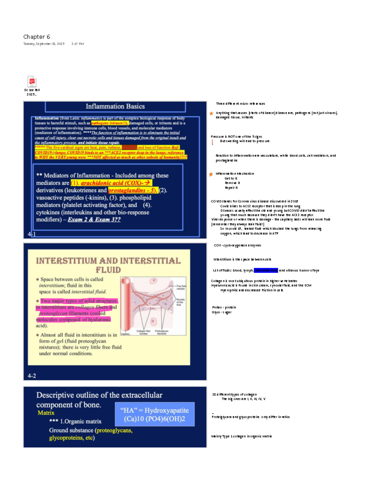 Chapter 6 - Exam 4 Study Notes on Inflammation and Bone Biology - Studocu