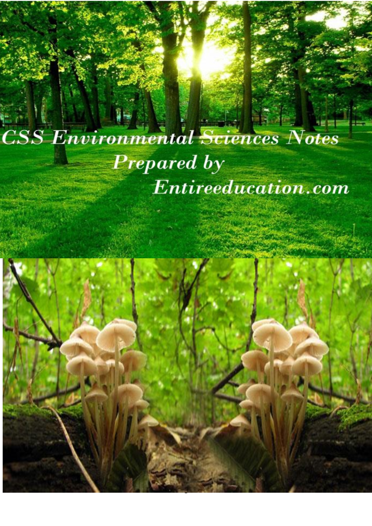Environmental Science Overview: Key Concepts and Movements - Studocu