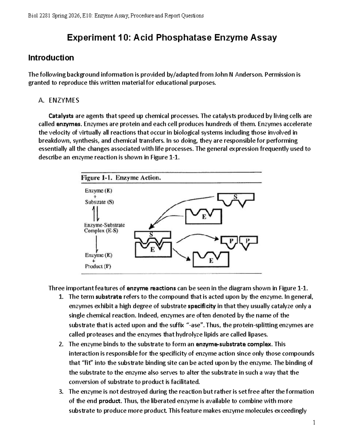 Biol 2281 Spring 2026, E10: Acid Phosphatase Enzyme Assay Report - Studocu