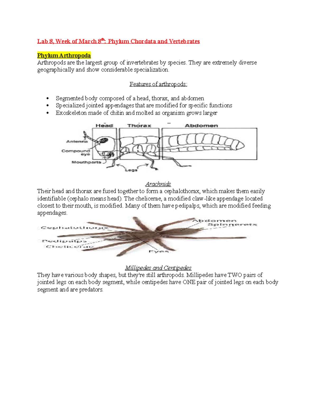 Biology Lab Study Guide: Chapters 1-10 - Lab 8, Week of March 8th ...