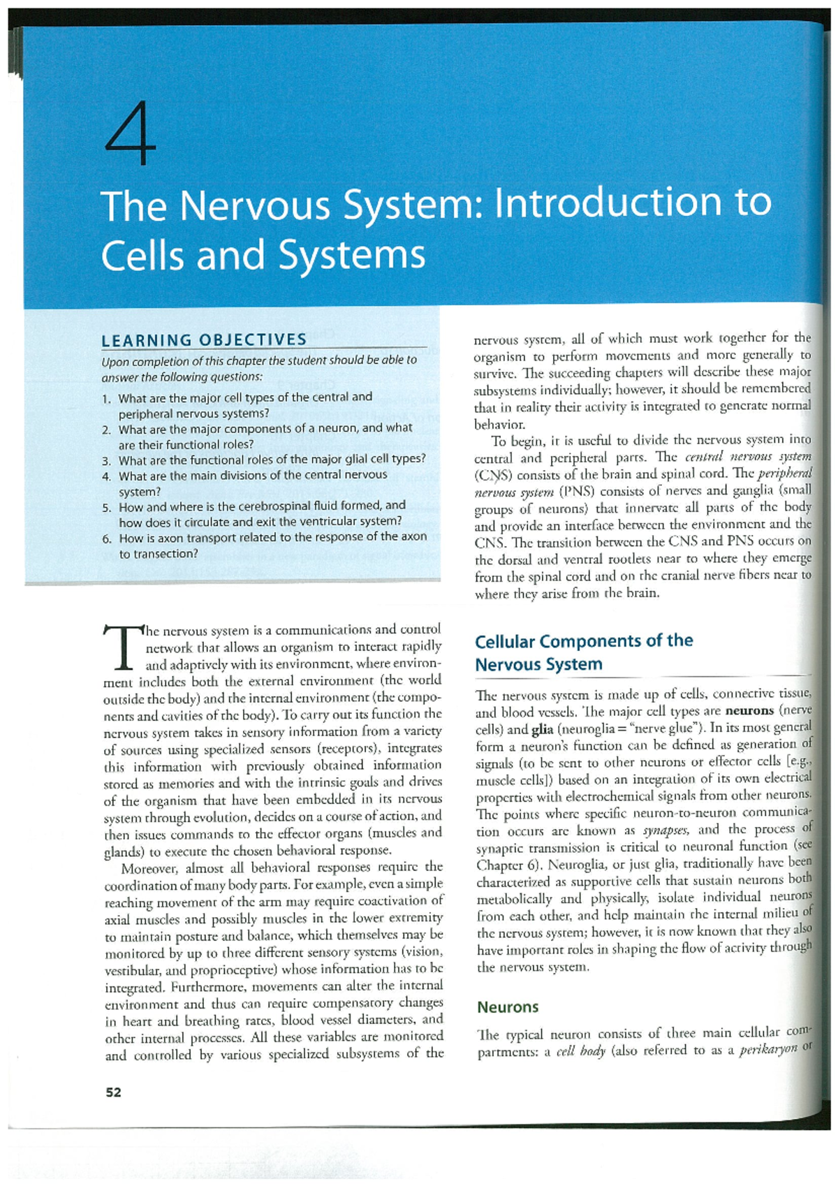 Physiology 612: Chapter 4 - The Nervous System Overview - Studocu