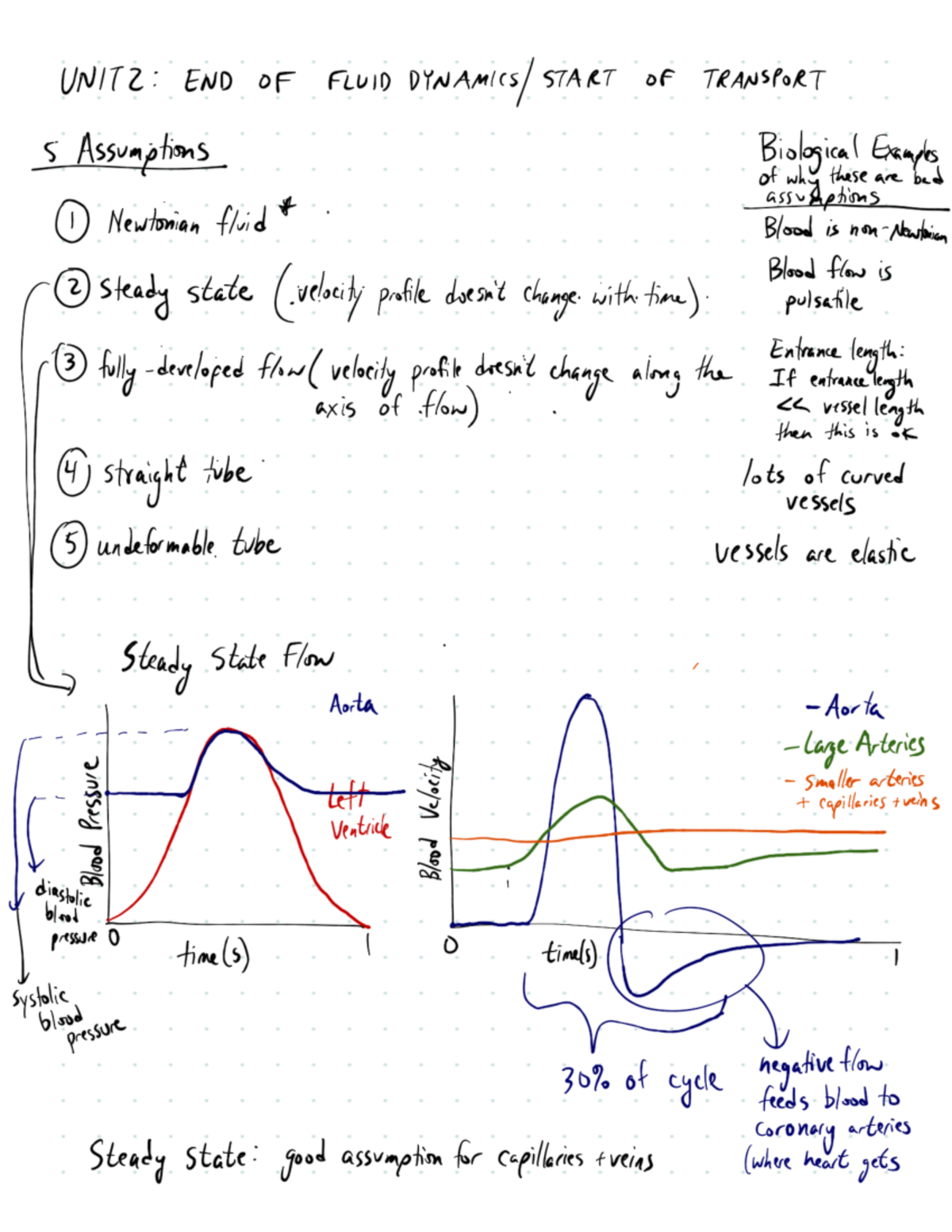 Final Exam Study Guide for Course XYZ 101: Key Concepts and Review ...