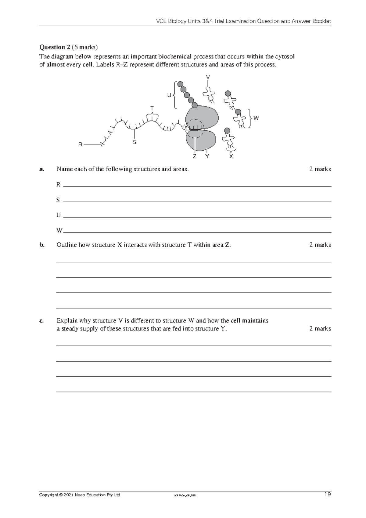 VCE Biology Units 3 & 4 Trial Exam Q&A Booklet 2021 - Studocu