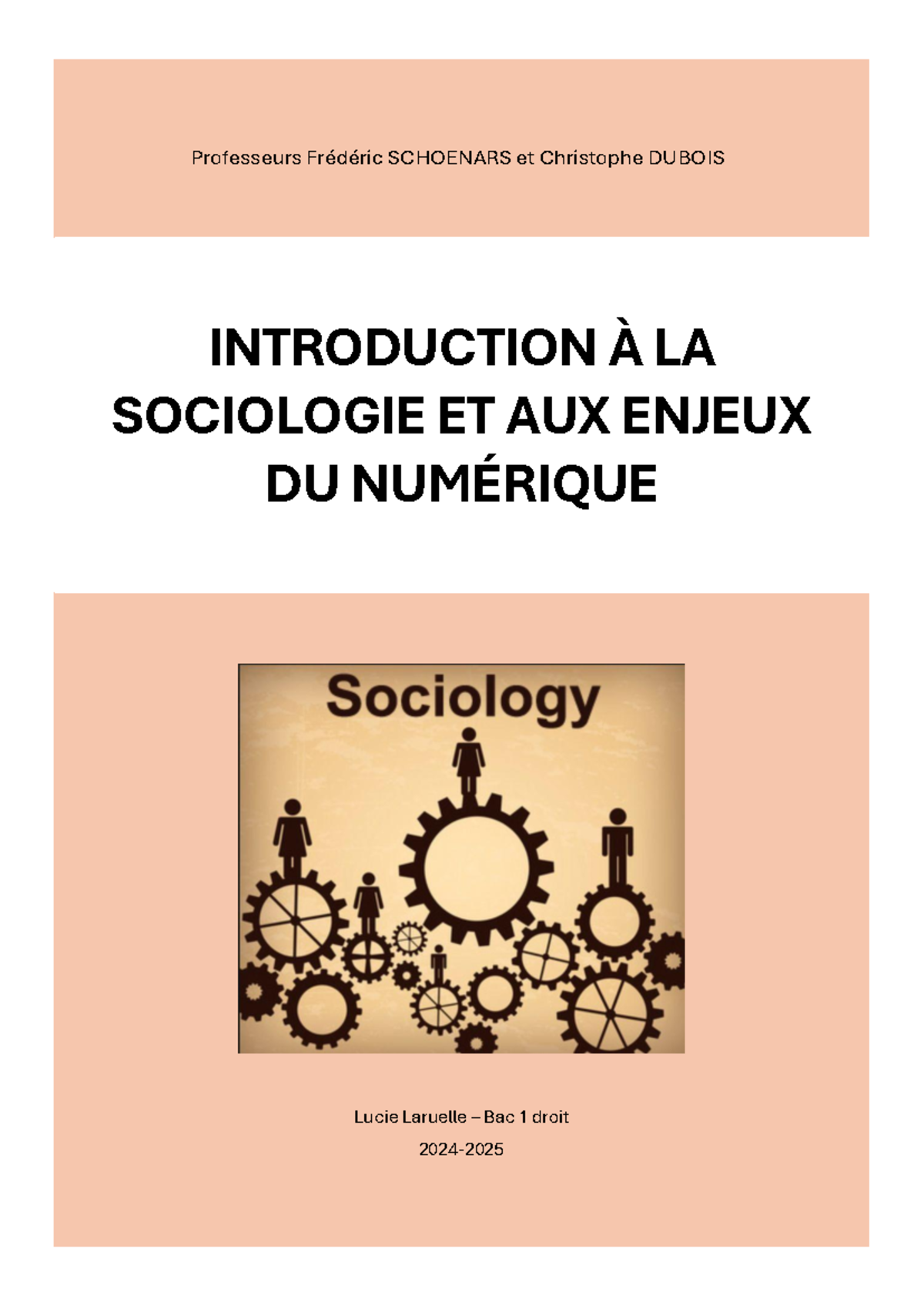 Introduction à la sociologie et enjeux numériques - Bac 1 Droit - Studocu