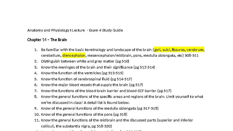Anatomy and Physiology I Exam 4 Study Guide: The Brain & ANS - Studocu