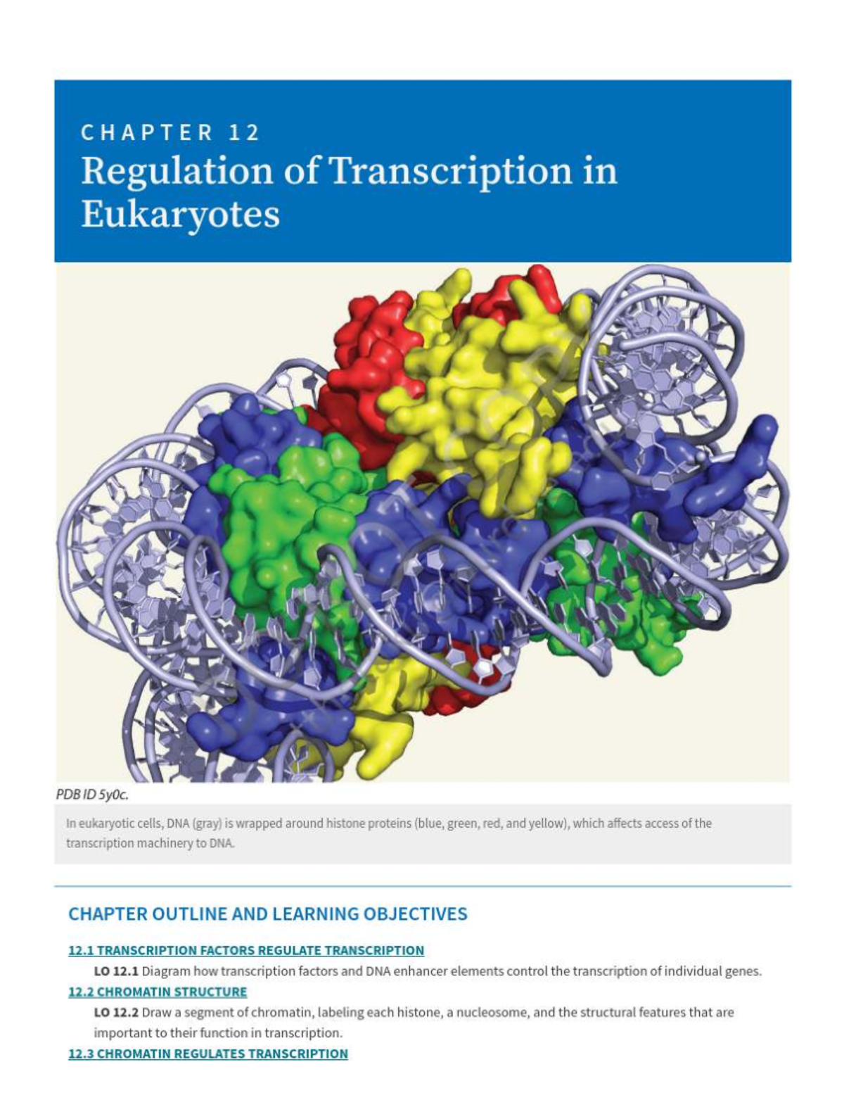 CHAPTER 12: Regulation of Transcription in Eukaryotes - Key Concepts ...