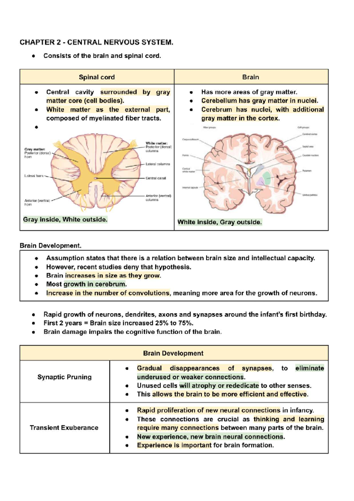 C2 BIO621 - Chapter 2: Central Nervous System Overview - Studocu