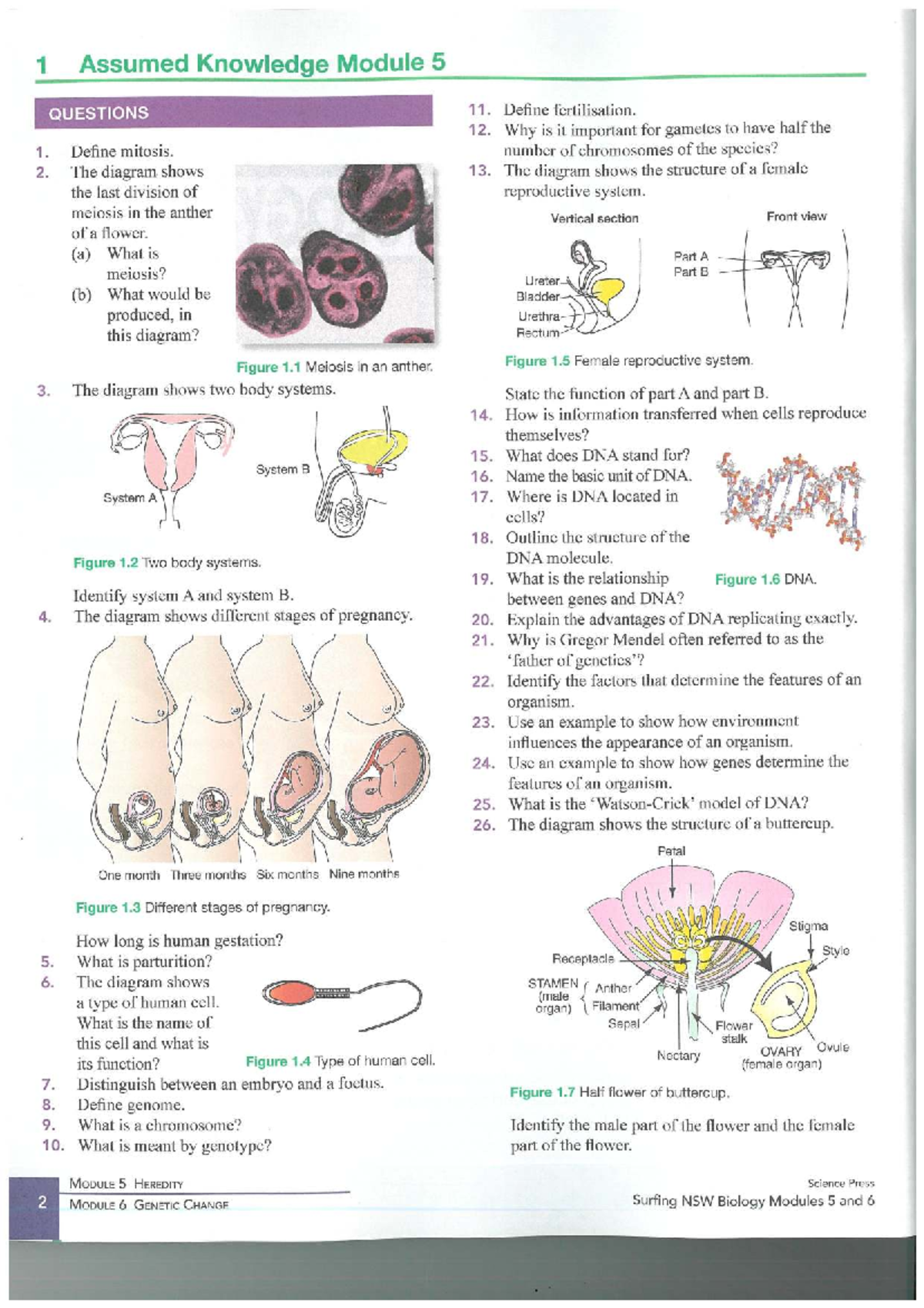 Reproduction Assumed Knowledge: Module 5 Questions & Diagrams - Studocu