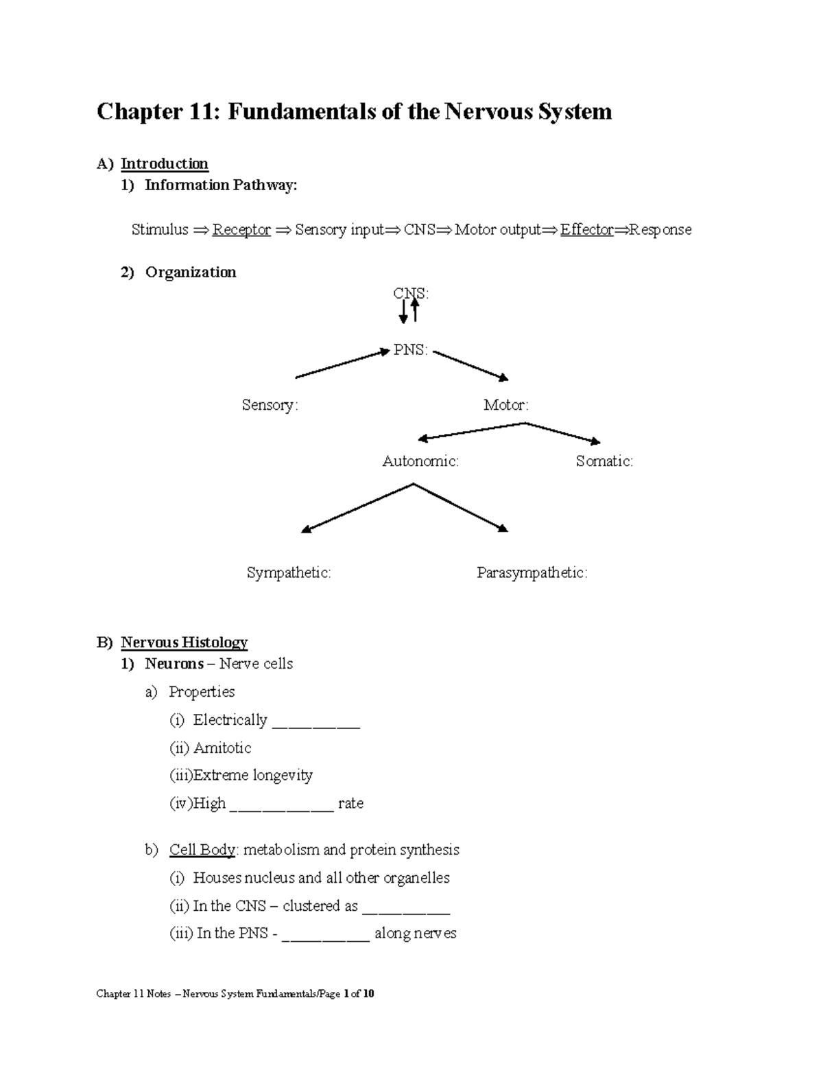 Chapter 11 Notes – Nervous System Fundamentals - Studocu