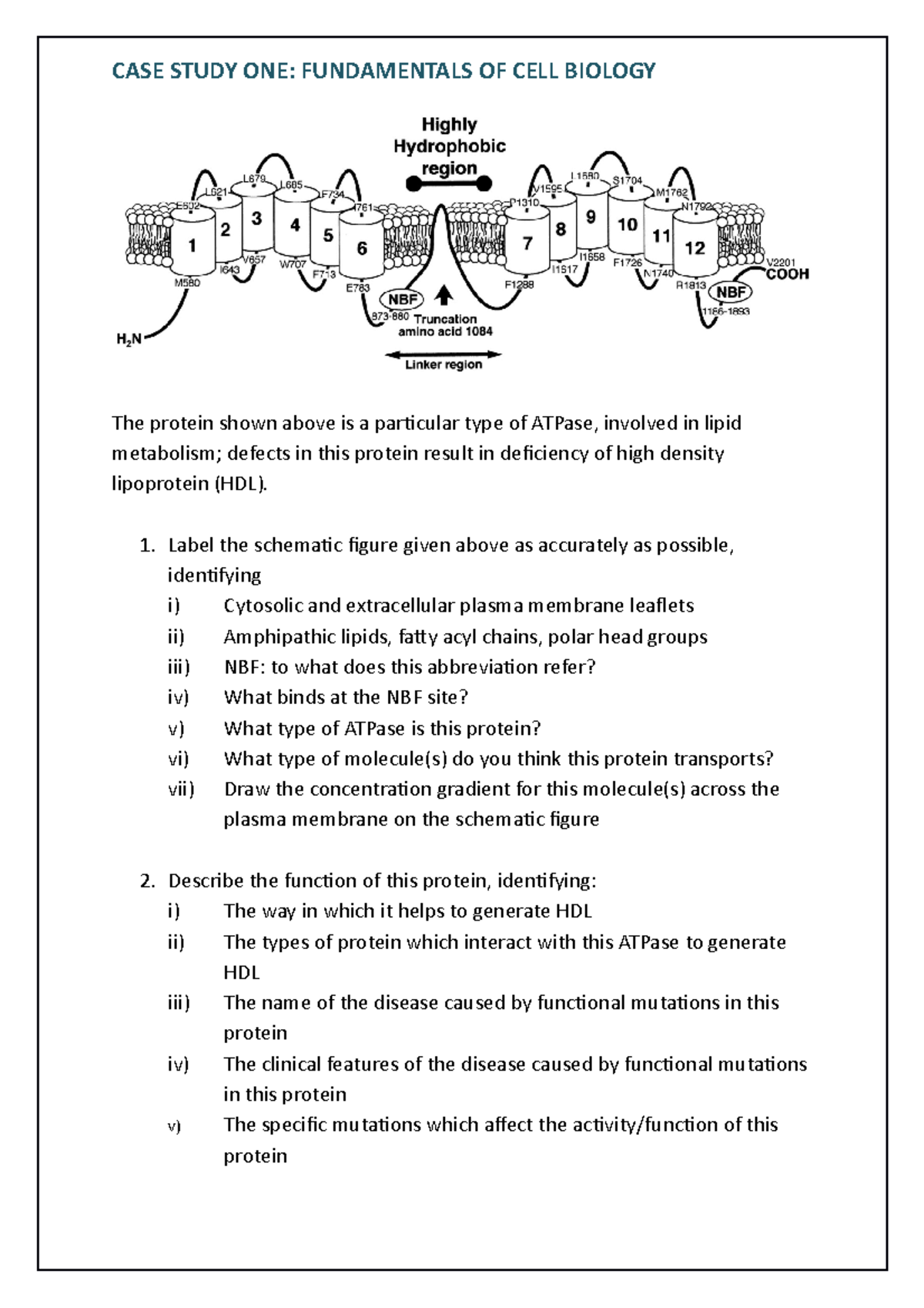 Case Study ONE - FCB - This document is a practical notes/document made ...
