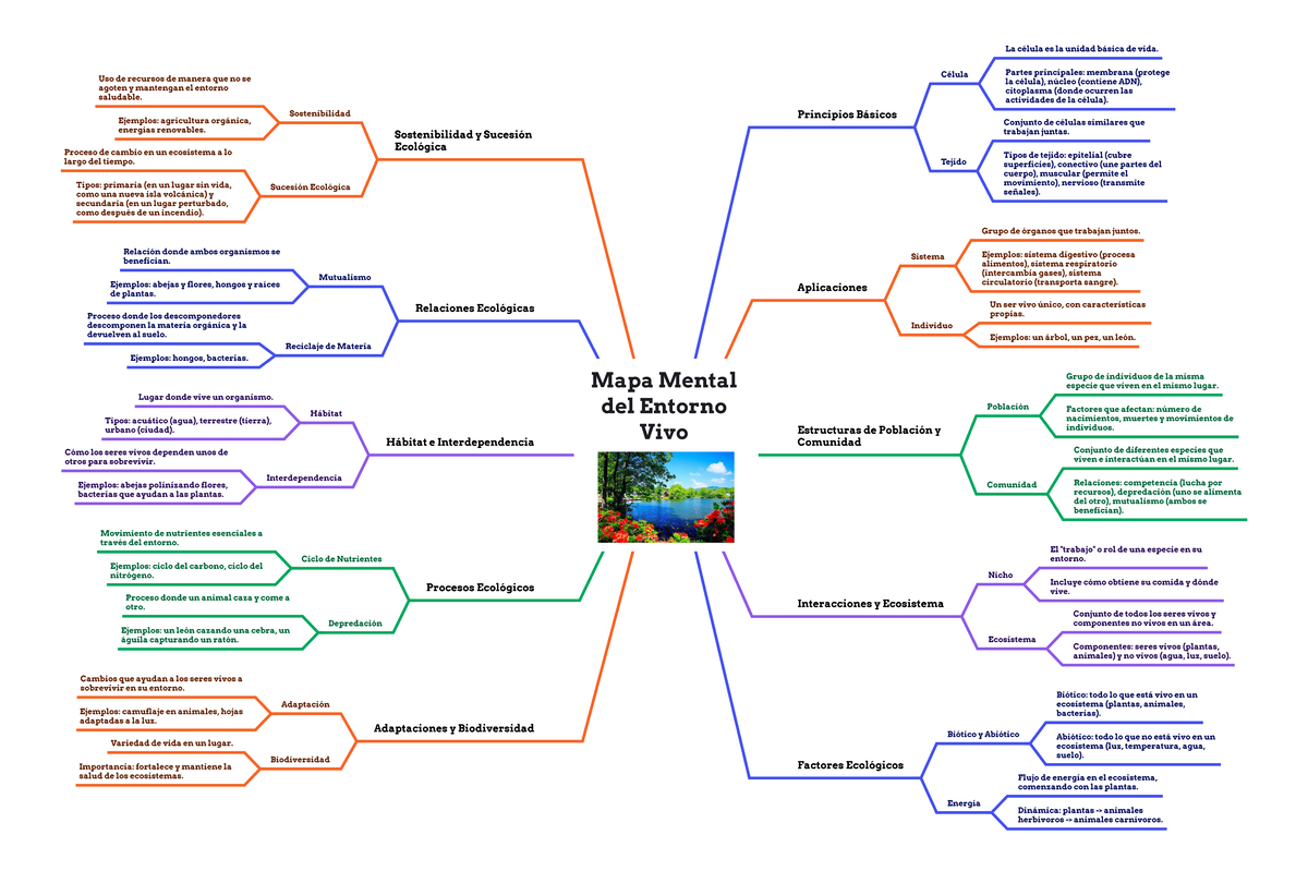Mapa Mental del Entorno Vivo - Mapa Mental del Entorno Vivo Principios ...