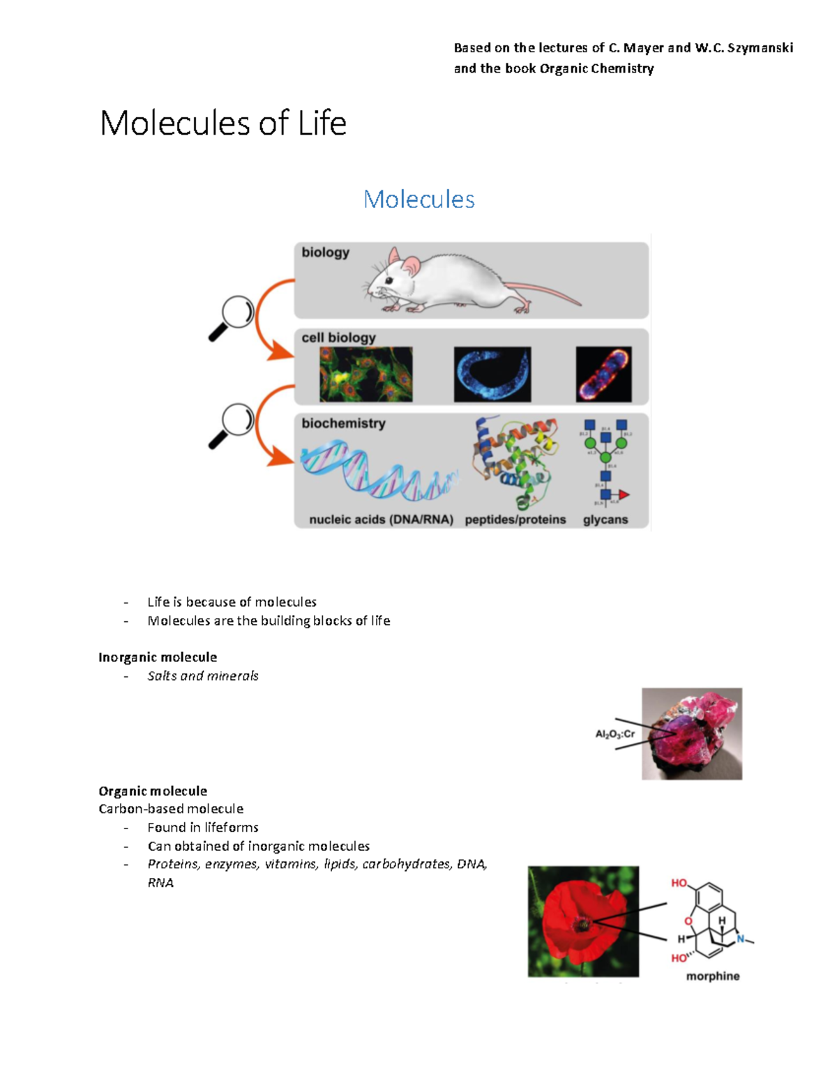Molecules of Life: Structure and Bonding - CH101 Lecture Notes ...