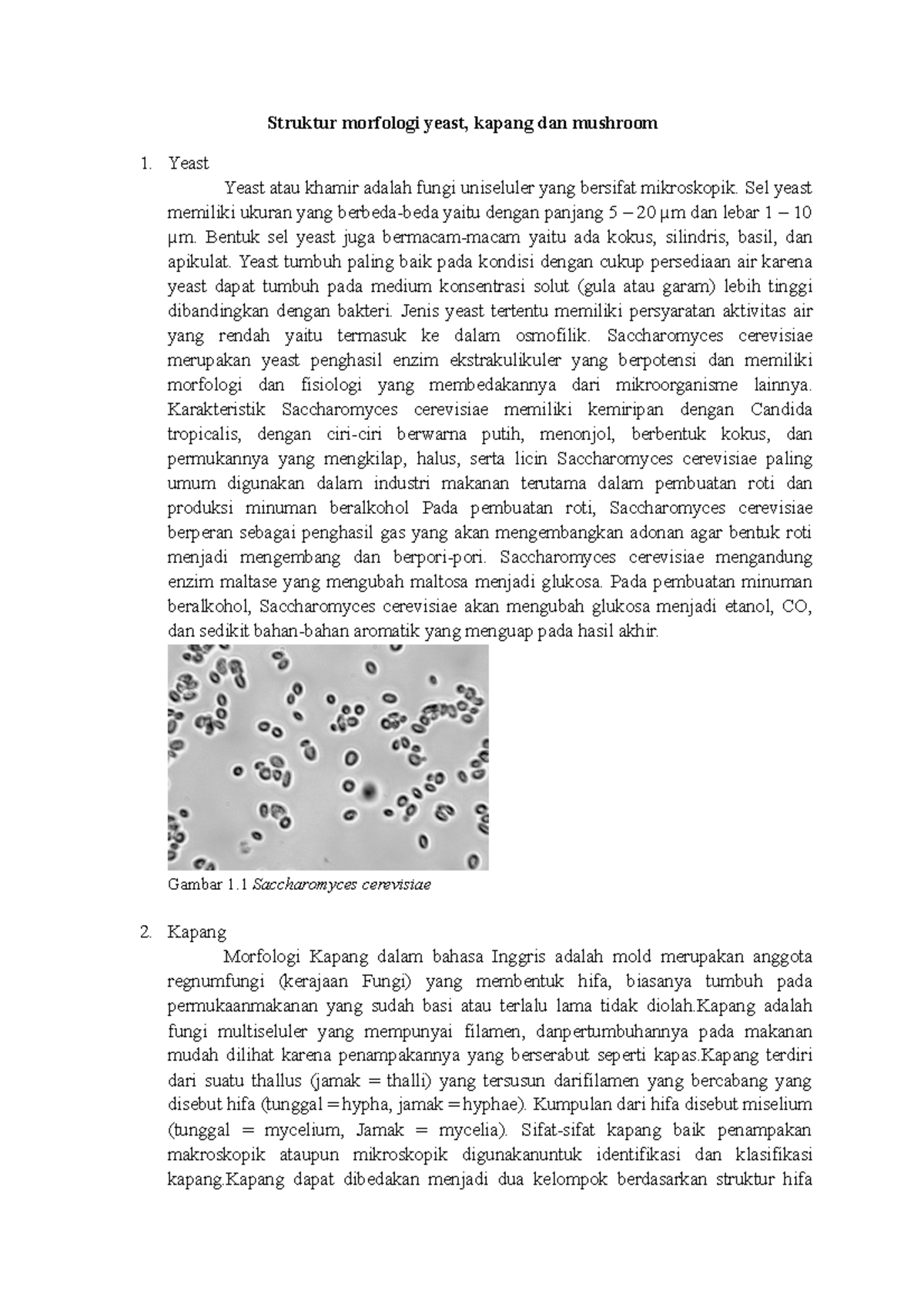 Kastrato porno rasmlar