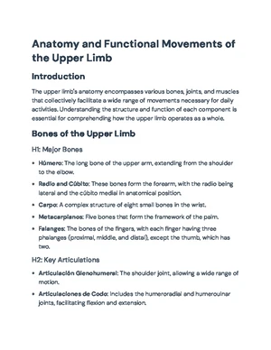 Human Upper Limb Joints: Anatomy, Functionality & Common Disorders ...