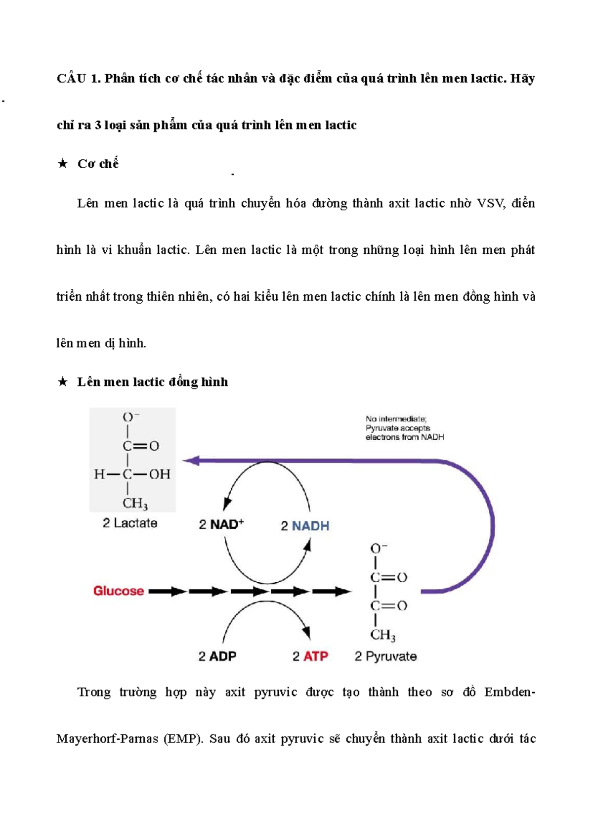 Phân Tích Quá Trình Lên Men Lactic và Ứng Dụng VSV - Cô Thứ 2 - Studocu