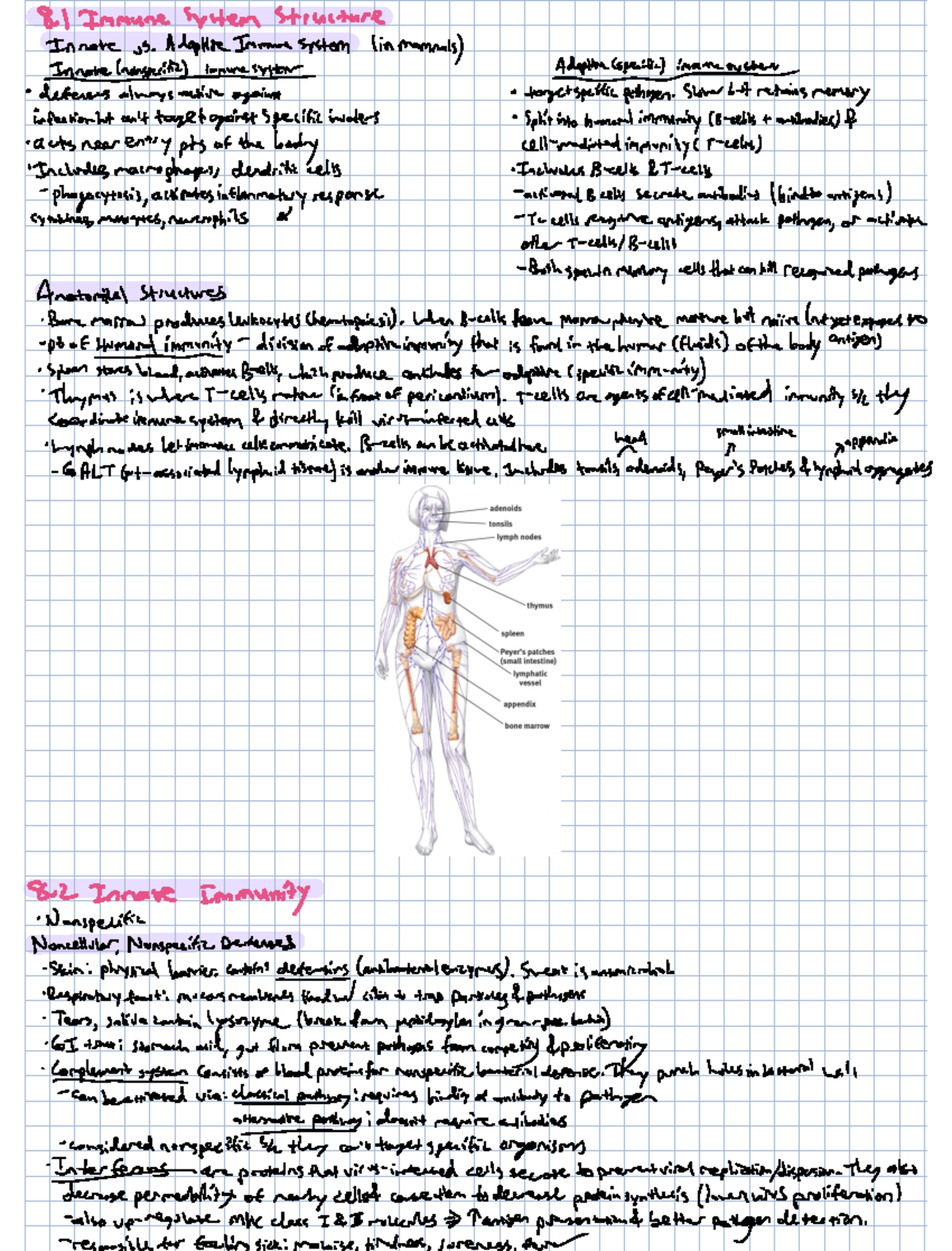 Bio 101: Chapter 8 - Immunology Overview and Key Concepts - Studocu