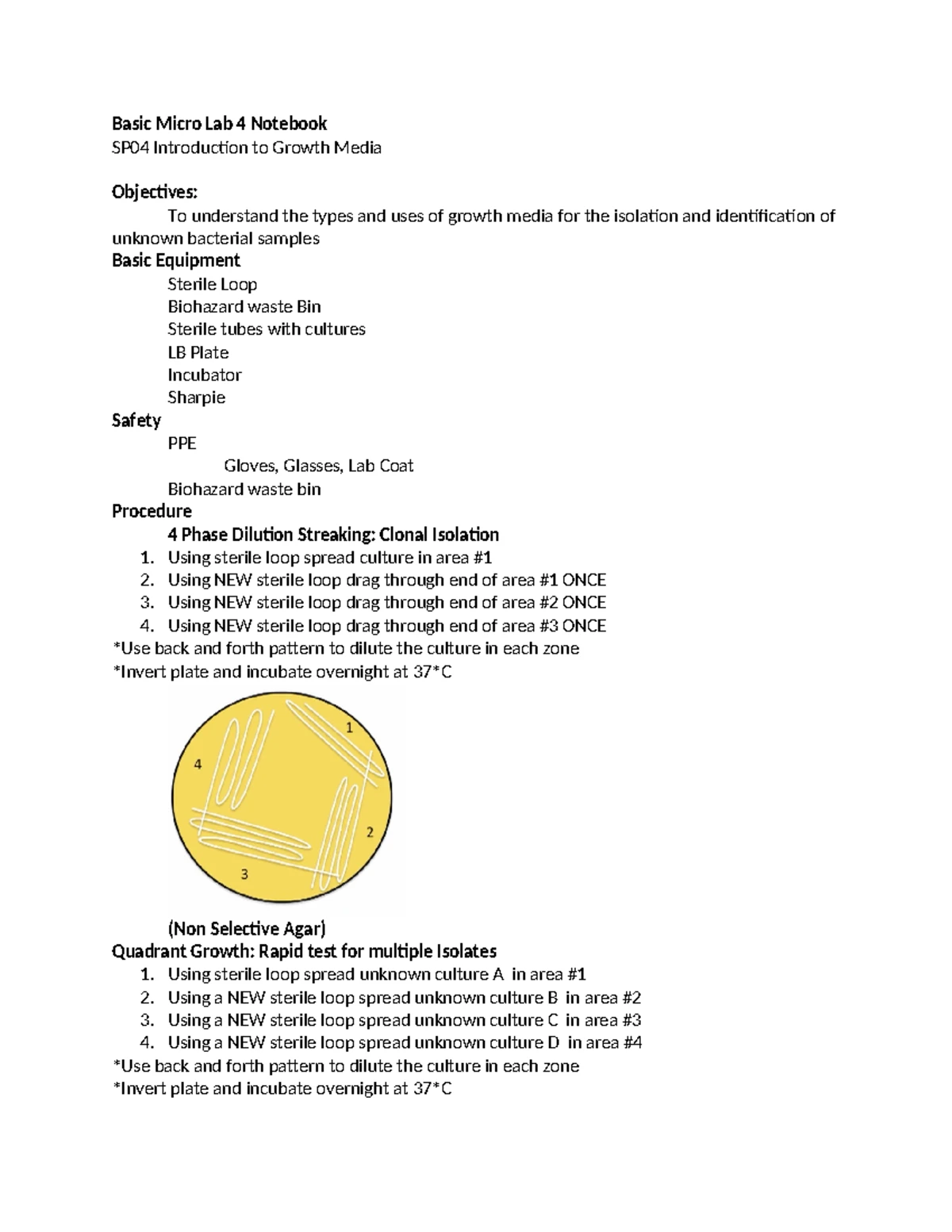BIOD171 Microbiology Lab Notebook: ST01 to ST06 Lab Summaries - Studocu