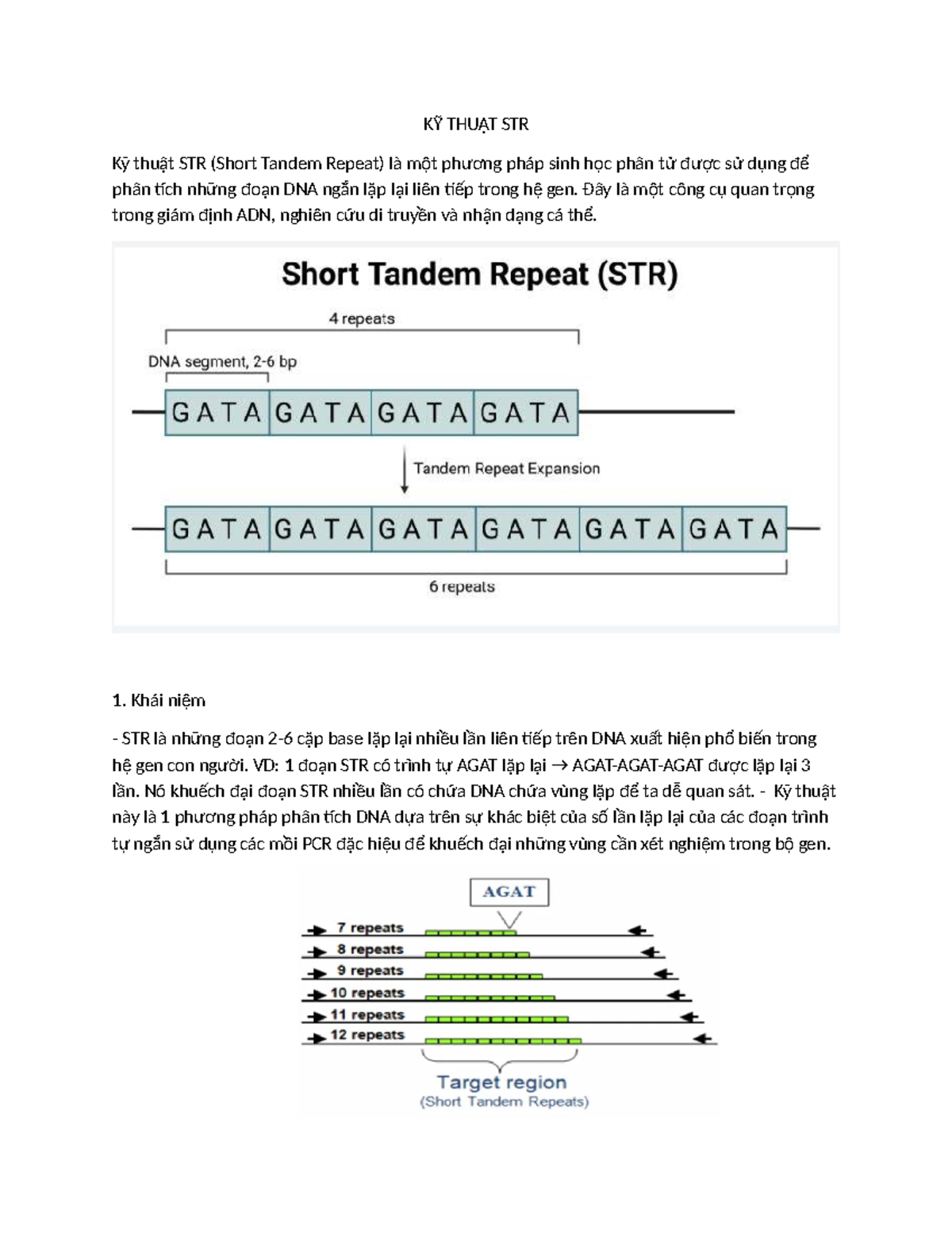 Kỹ Thuật STR: Phân Tích DNA Bằng Phương Pháp Lặp Ngắn - Studocu