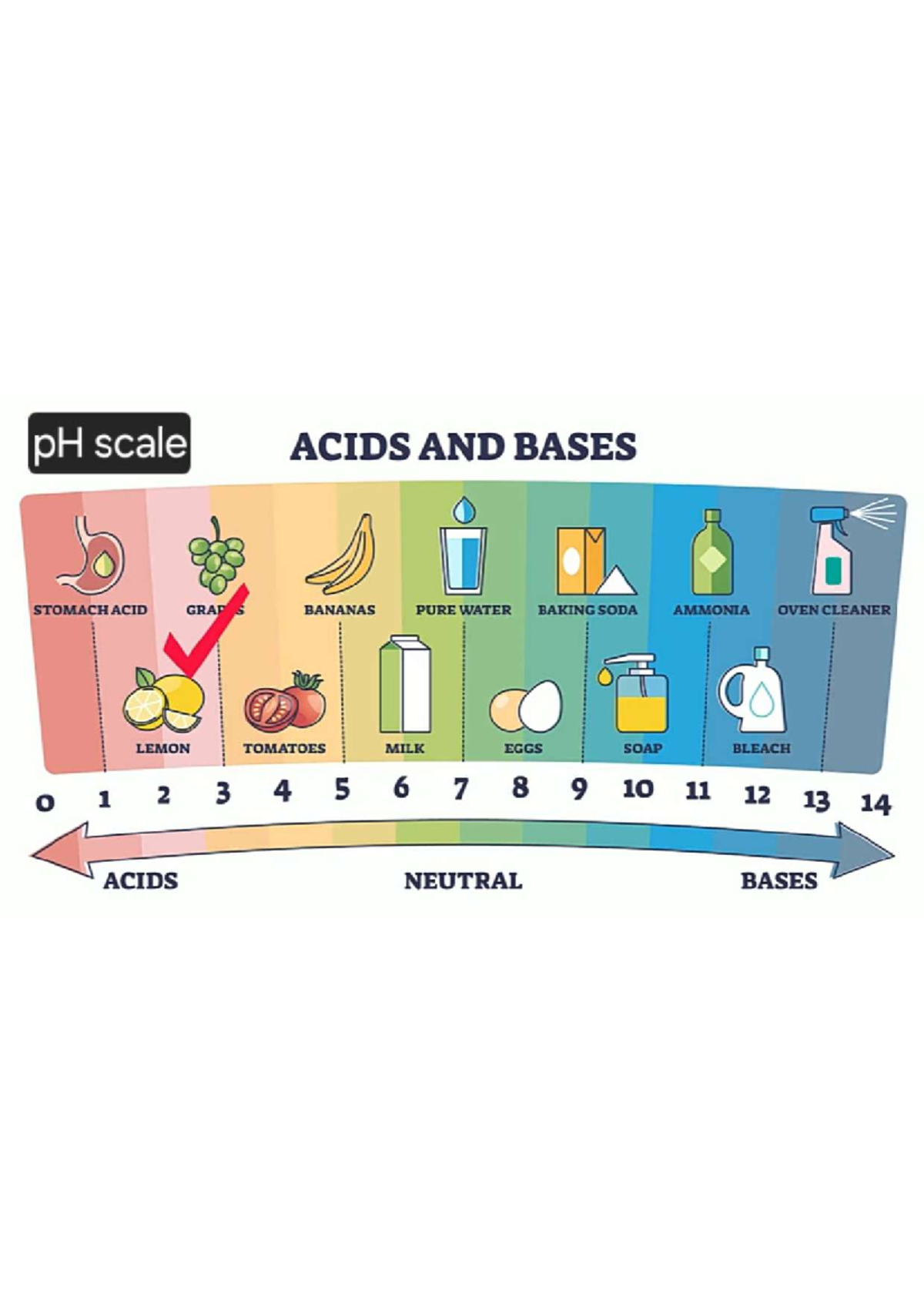 ACIDS AND BASES: pH Scale Characteristics and Examples - Studocu