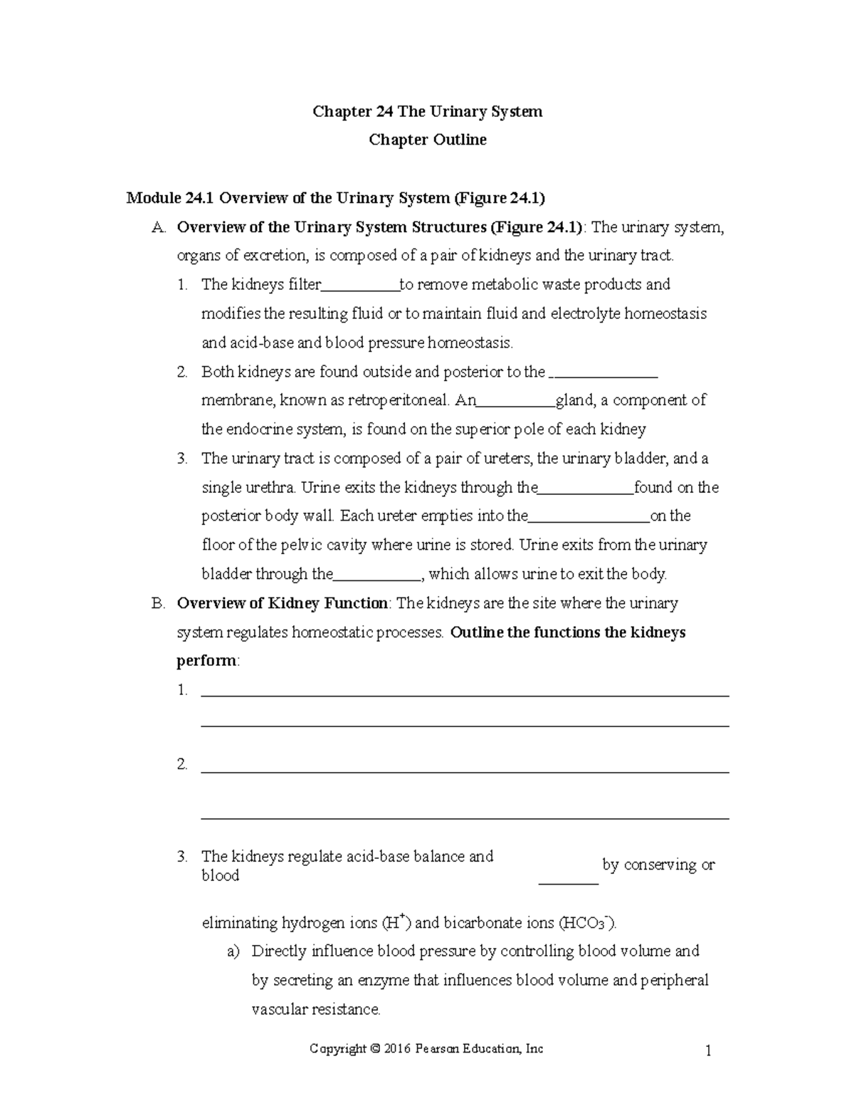 Ch 24 Urinary System Lecture Notes & Outline for Study - Studocu