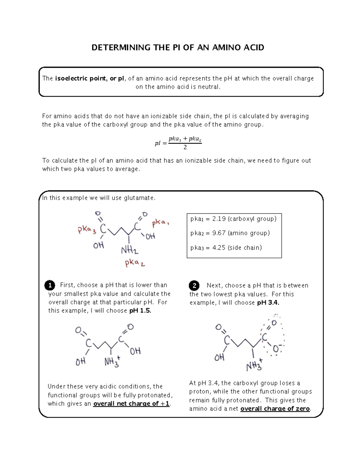 How To Calculate Isoelectric Point Of Glutamic Acid
