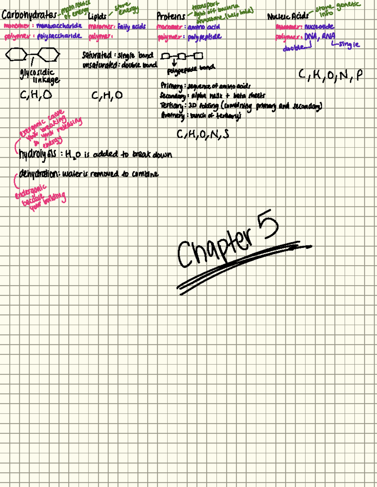 Eukaryotic vs Prokaryotic Cells: Key Differences and Structures - BIOL ...