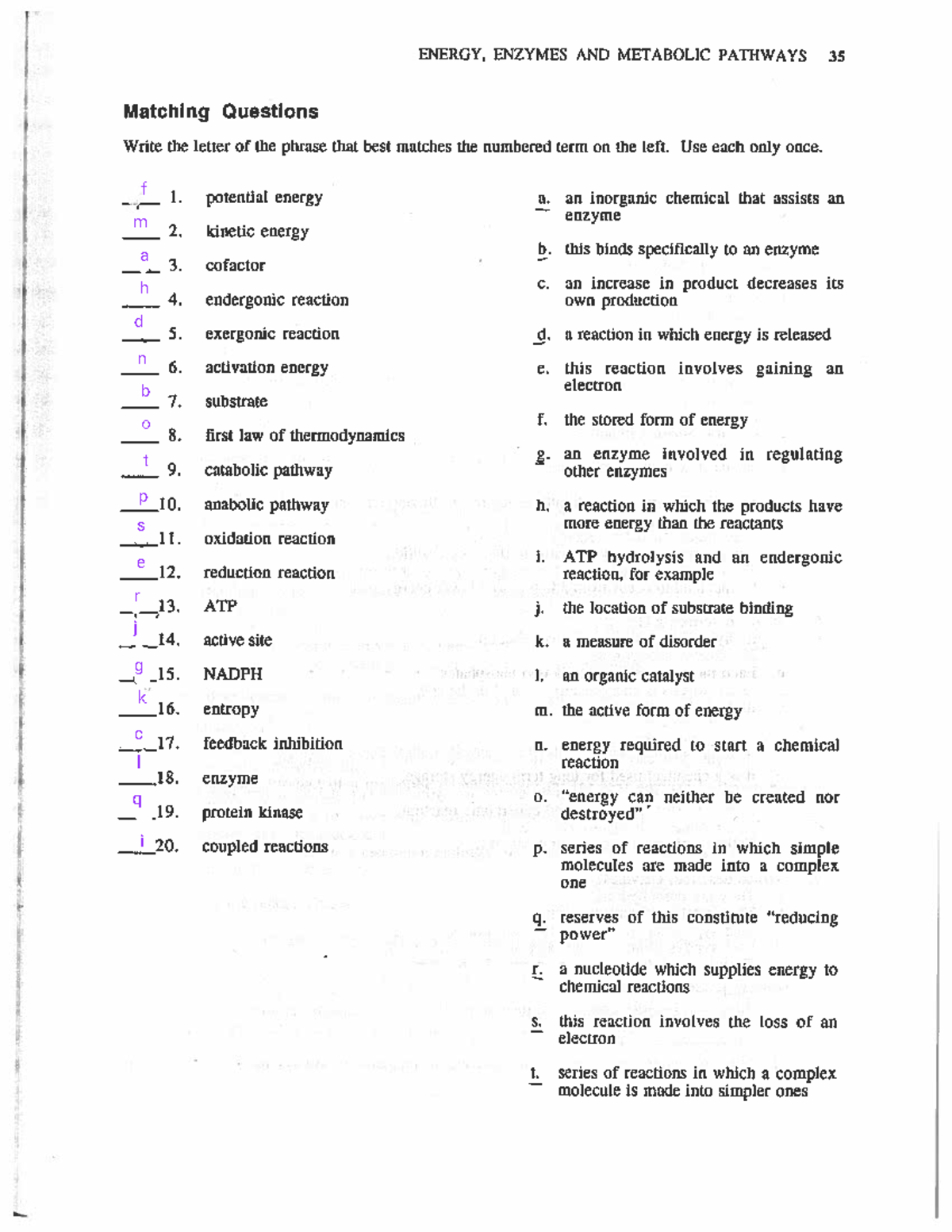 Kami Export - Unit 3 Worksheet - ENERGY, ENZYMES AND METABOLIC PATHWAYS ...