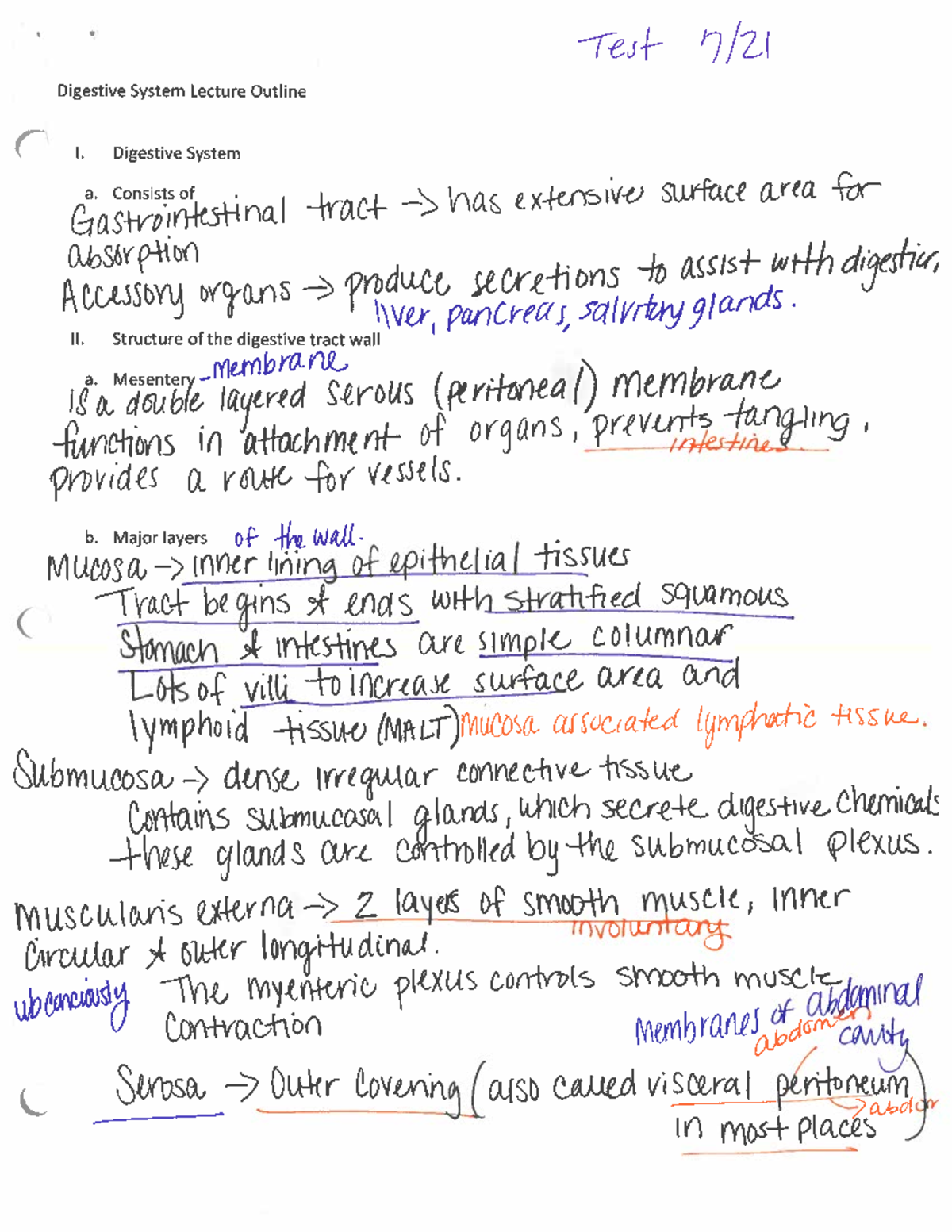 Final Exam Review Notes for Course XYZ 101: Digestive System Overview ...