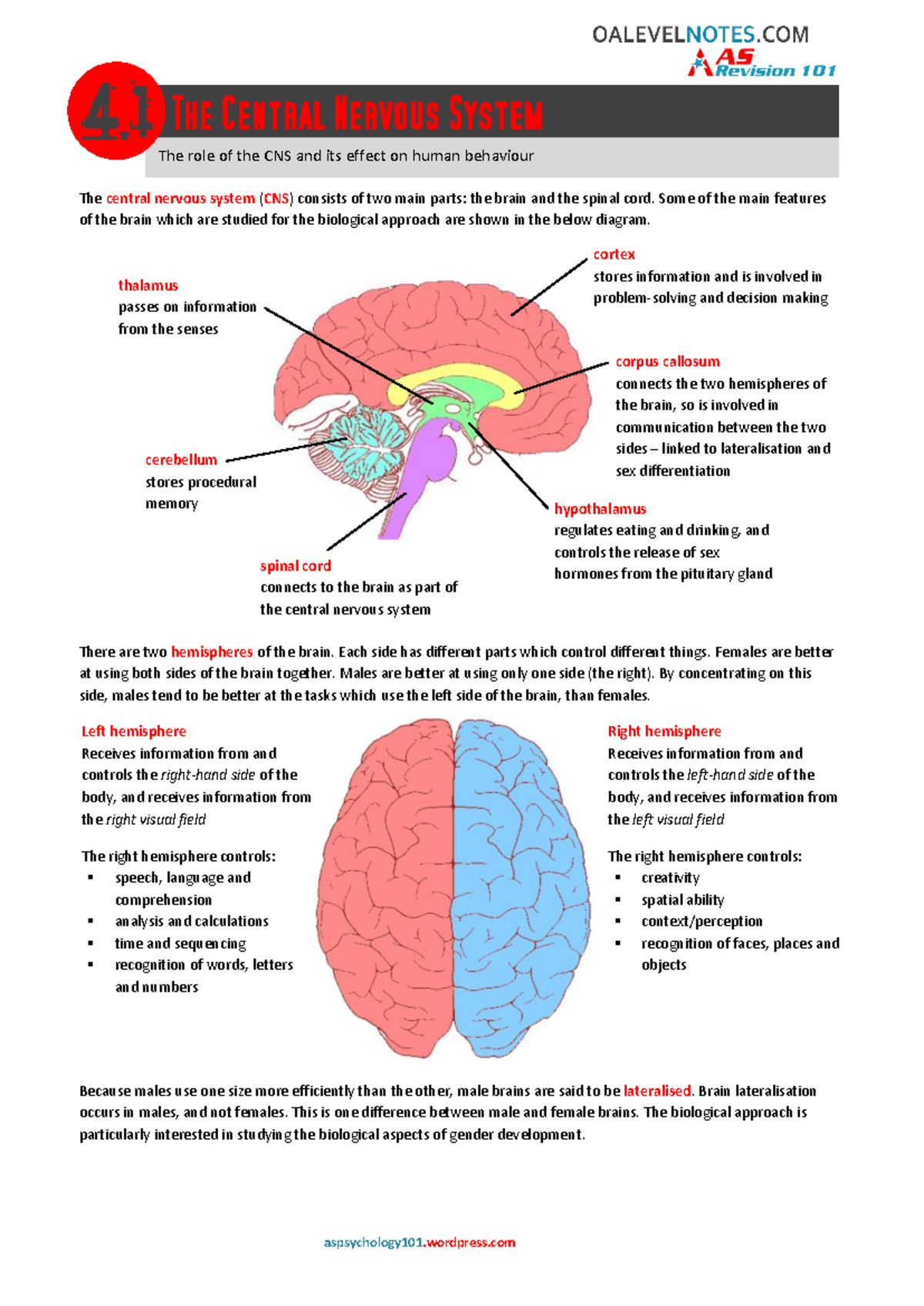4-1 the central nervous system - aspsychology101.wordpress The central ...