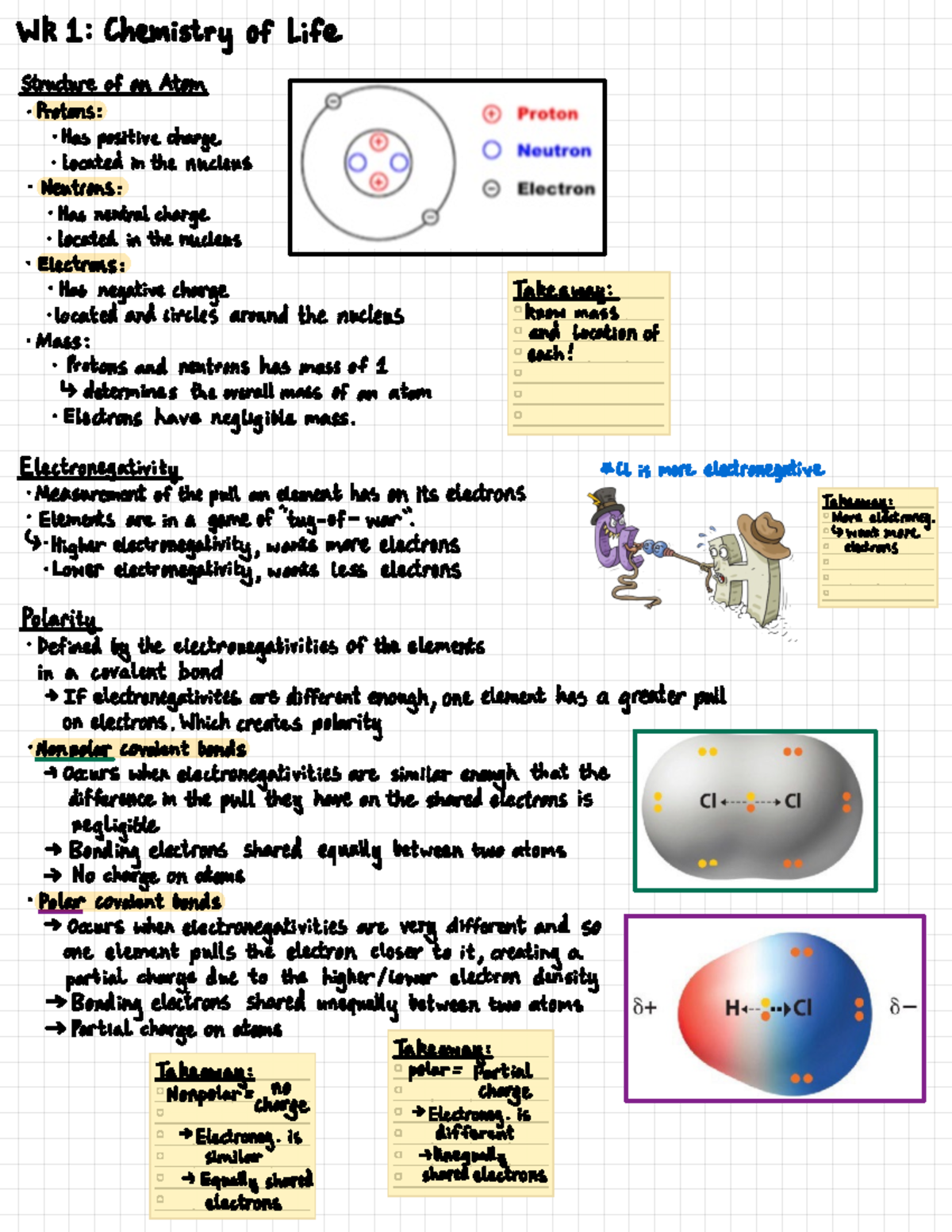 Lifesci Wk 1 - Wk 1 Notes - WR 1: Chemistry of Life Structure of an ...