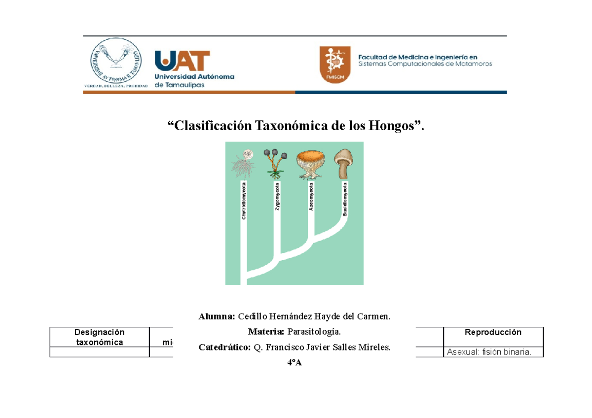 Mapa Conceptual de Amebas Libres y su Epidemiología y Tratamiento - Studocu