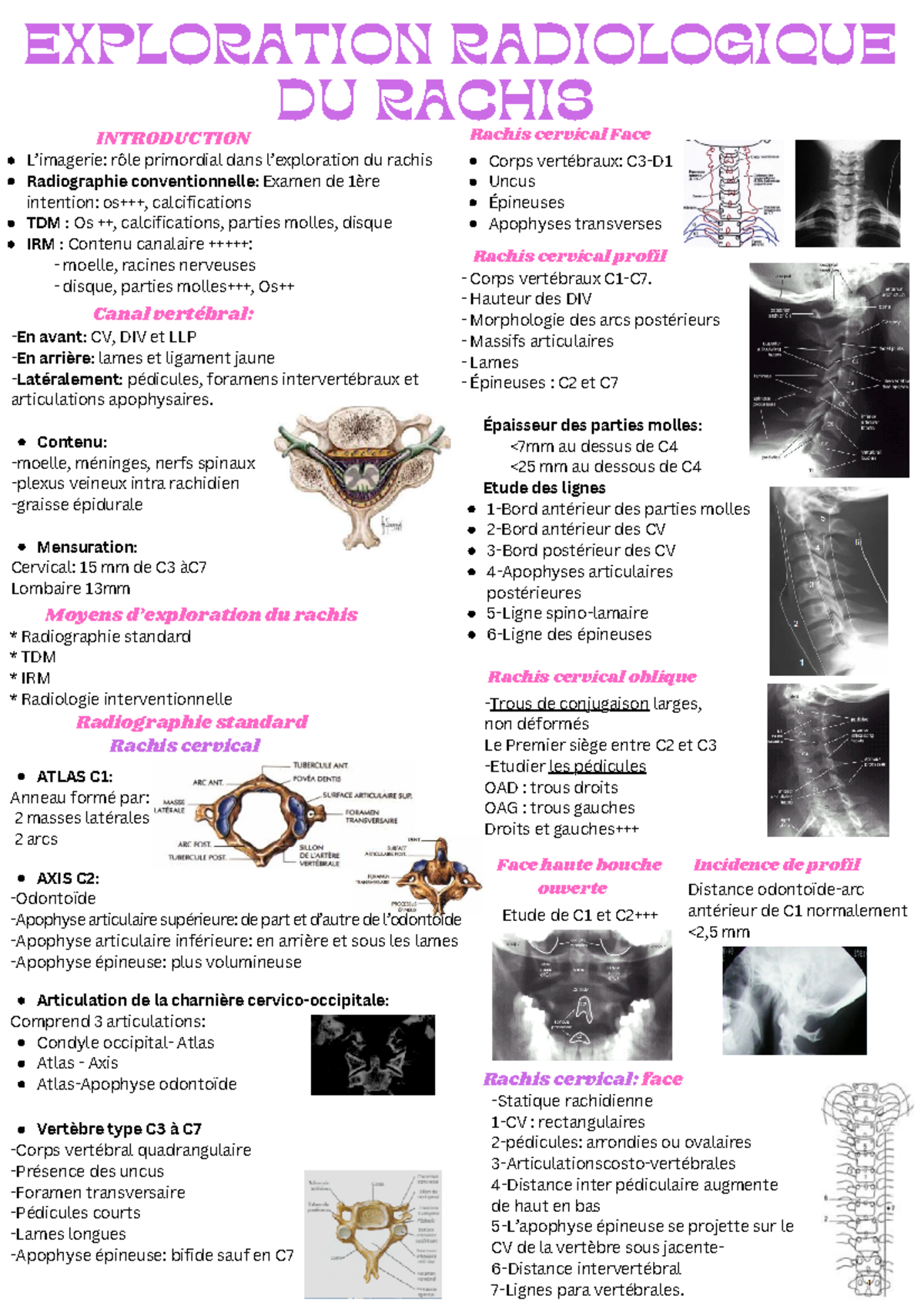Quels Sont Les Différents Types D’Imagerie Du Rachis – TKMTAM