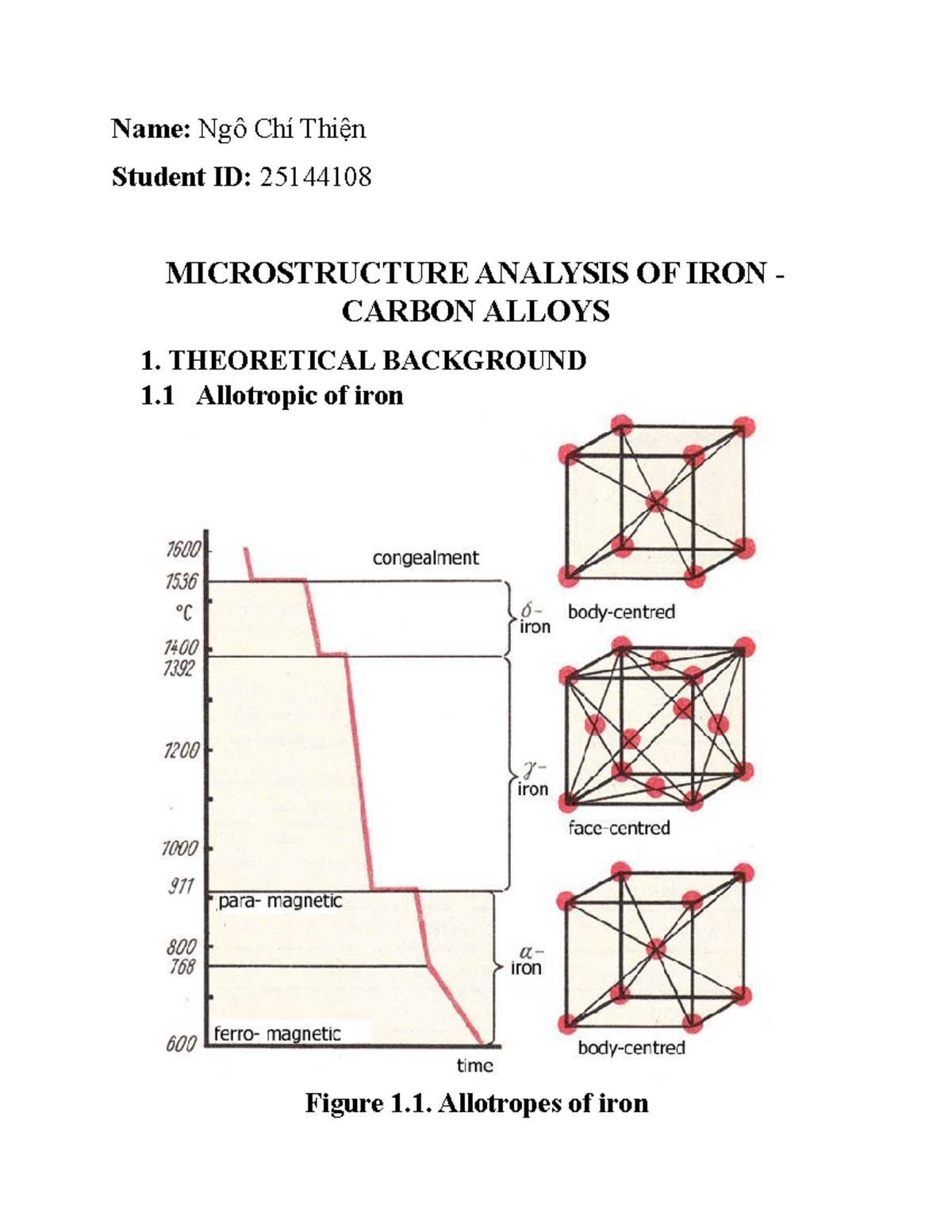MICROSTRUCTURE ANALYSIS OF IRON-CARBON ALLOYS (ENG 101) - Studocu